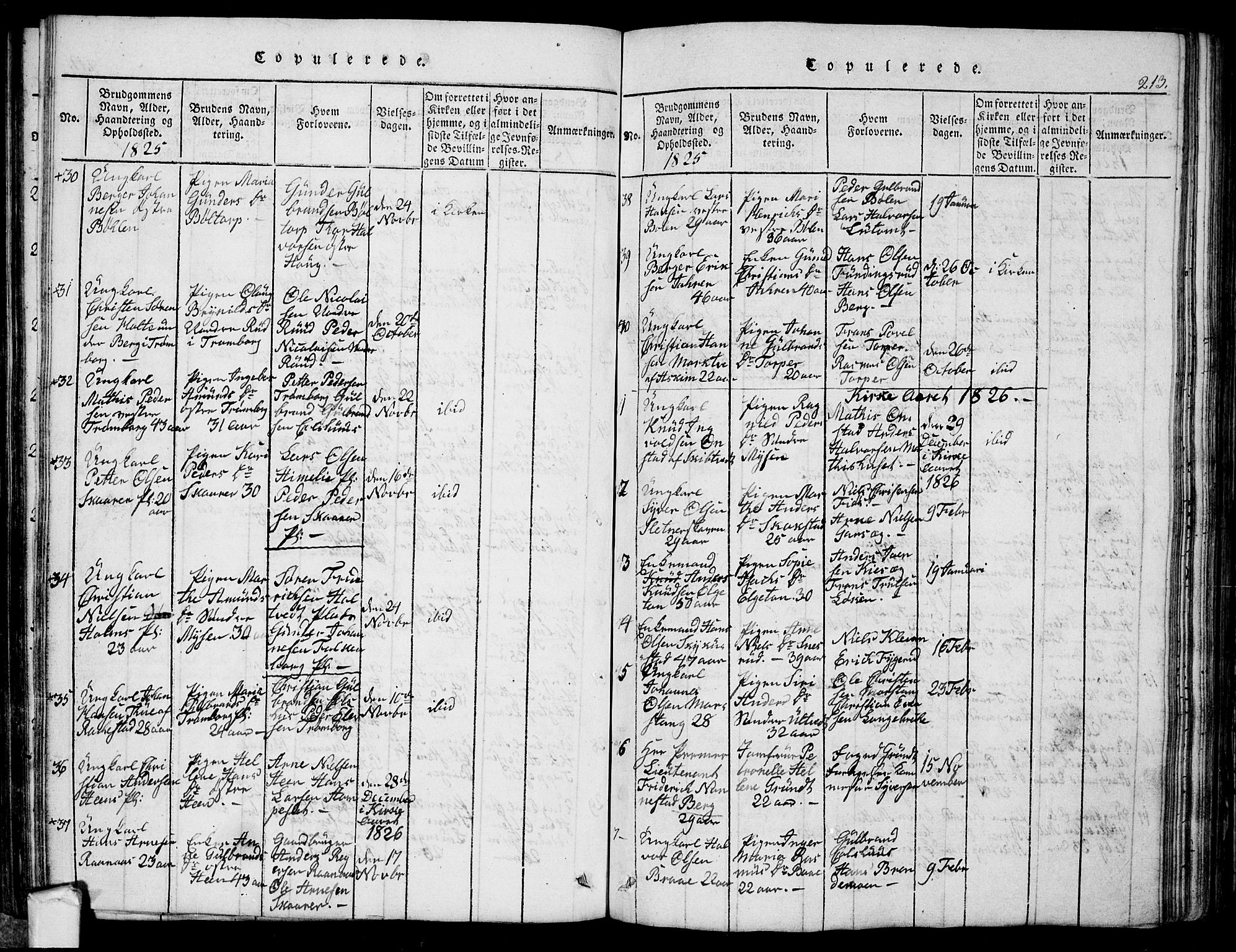 Eidsberg prestekontor Kirkebøker, SAO/A-10905/G/Ga/L0001: Parish register (copy) no. I 1, 1814-1831, p. 213