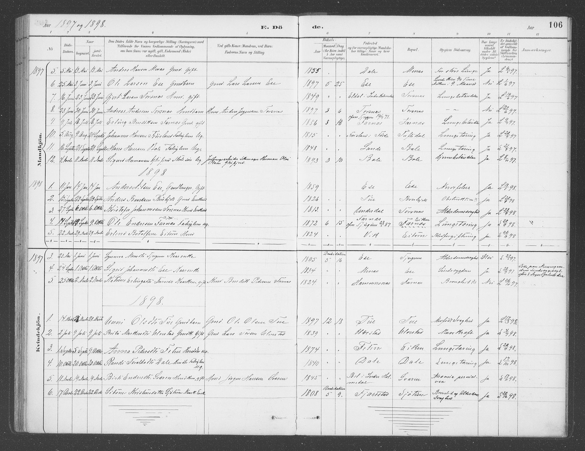 Balestrand sokneprestembete, SAB/A-79601/H/Haa/Haab/L0001: Parish register (official) no. B  1, 1889-1910, p. 106