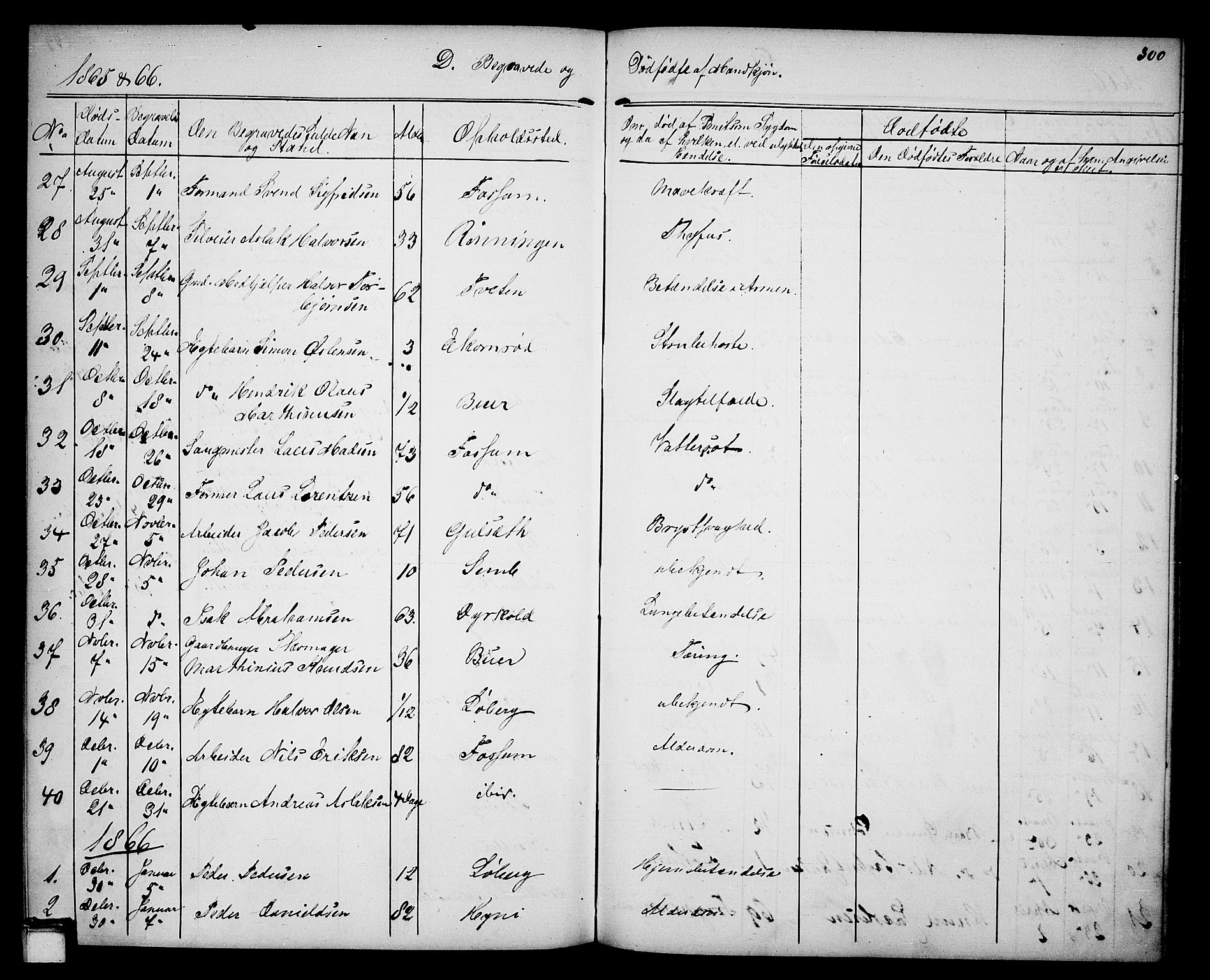 Gjerpen kirkebøker, SAKO/A-265/G/Ga/L0001: Parish register (copy) no. I 1, 1864-1882, p. 300
