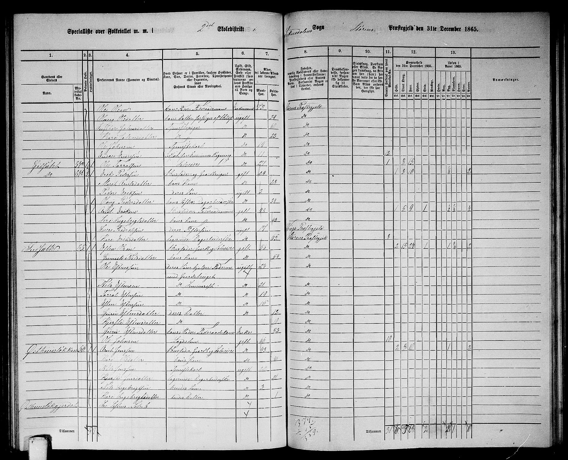 RA, 1865 census for Støren, 1865, p. 249