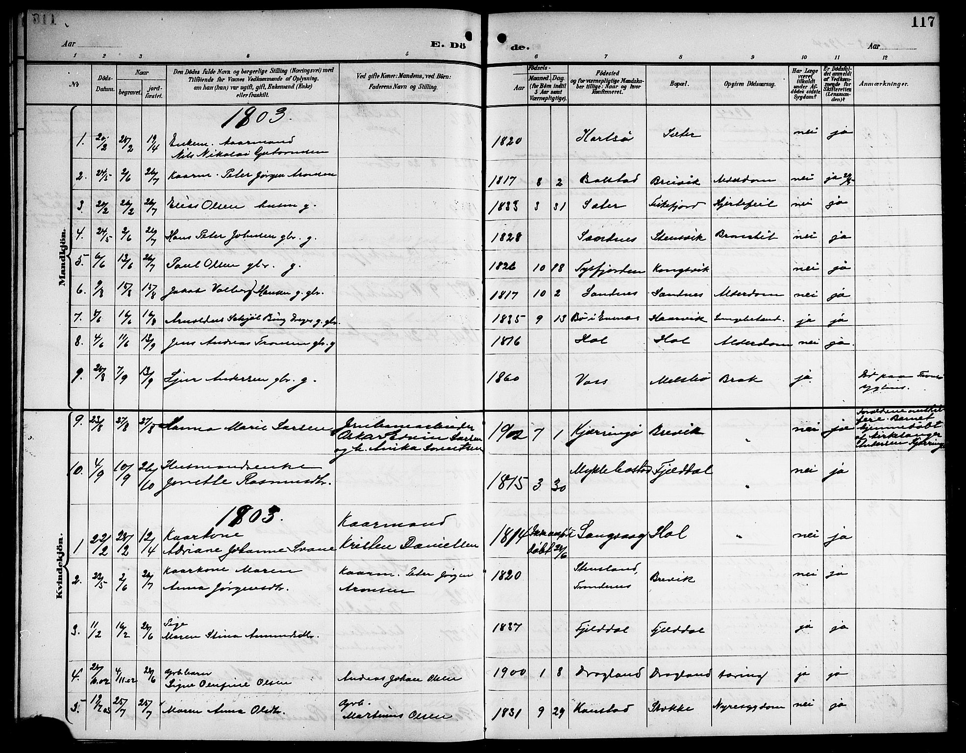 Ministerialprotokoller, klokkerbøker og fødselsregistre - Nordland, AV/SAT-A-1459/865/L0932: Parish register (copy) no. 865C04, 1901-1917, p. 117