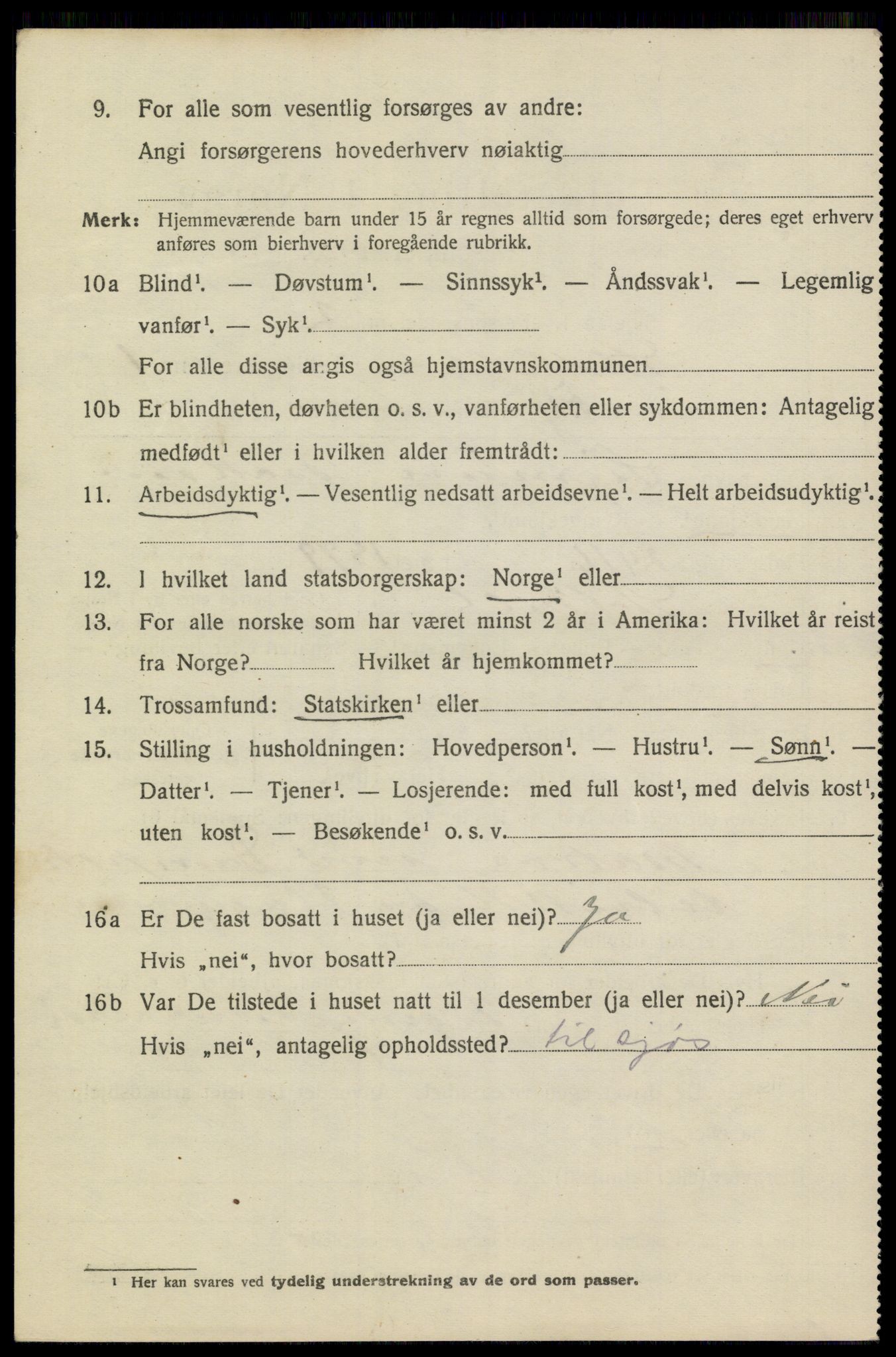 SAKO, 1920 census for Stathelle, 1920, p. 1050