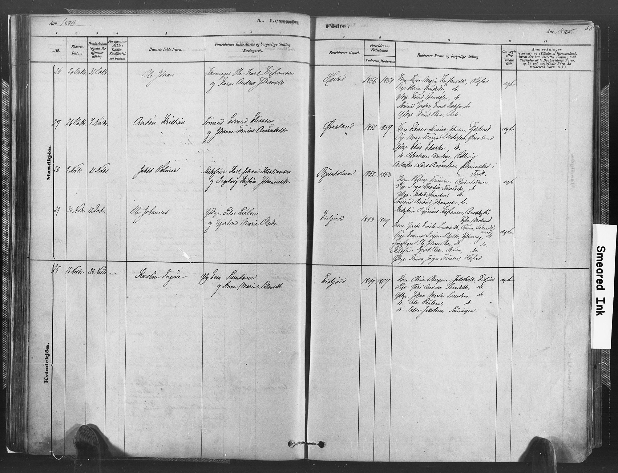 Høvåg sokneprestkontor, AV/SAK-1111-0025/F/Fa/L0005: Parish register (official) no. A 5, 1878-1893, p. 65