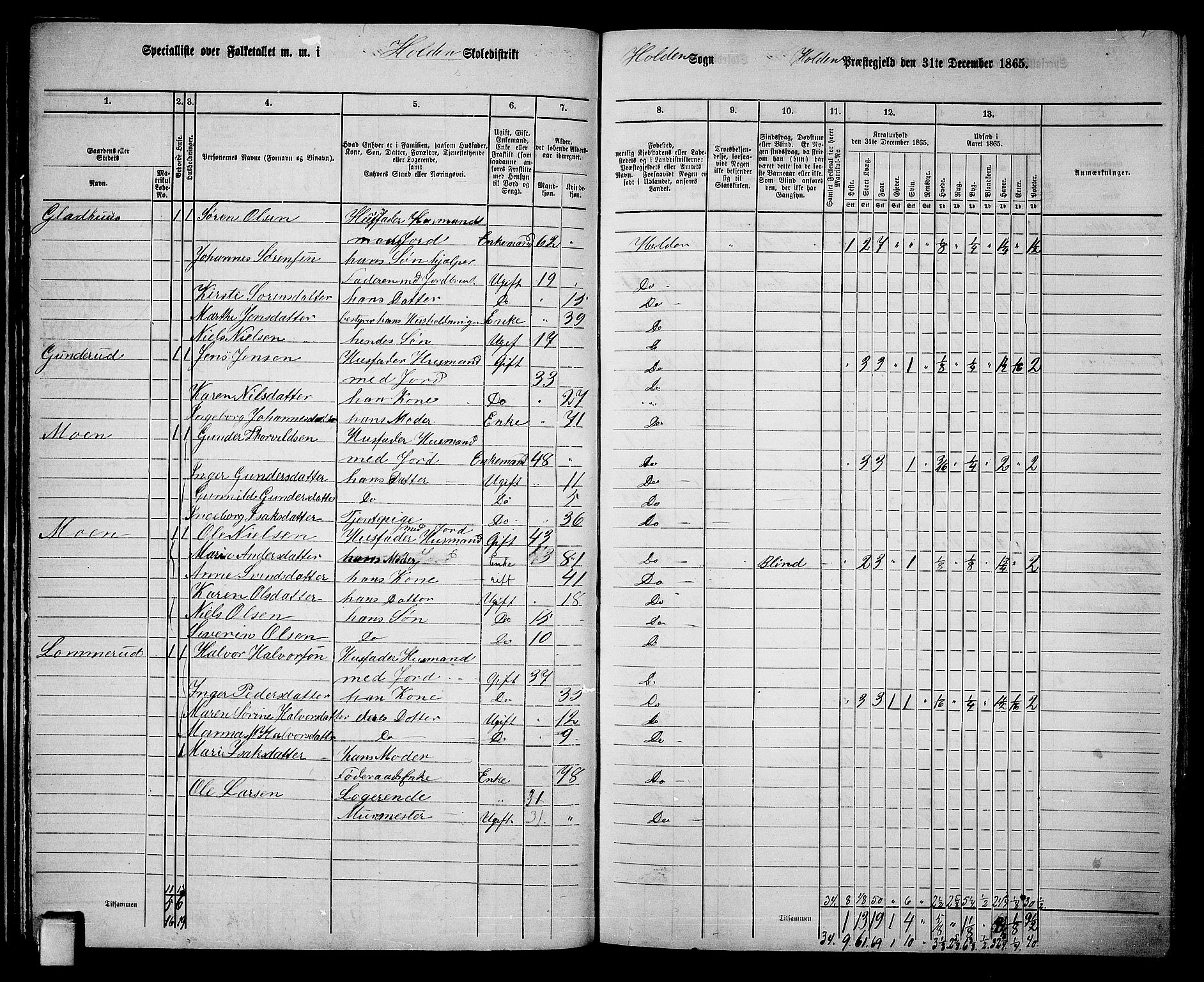 RA, 1865 census for Holla, 1865, p. 32