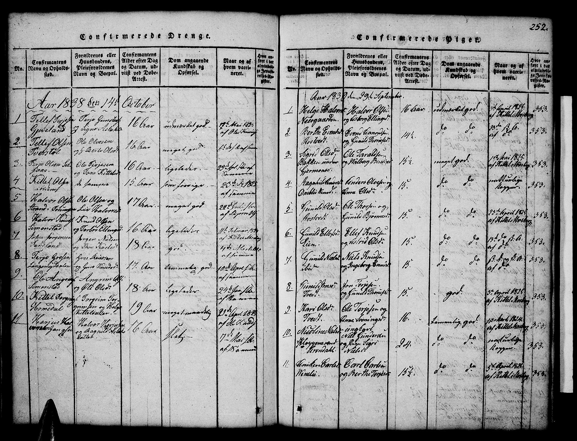 Åmli sokneprestkontor, AV/SAK-1111-0050/F/Fb/Fbc/L0001: Parish register (copy) no. B 1, 1816-1867, p. 252