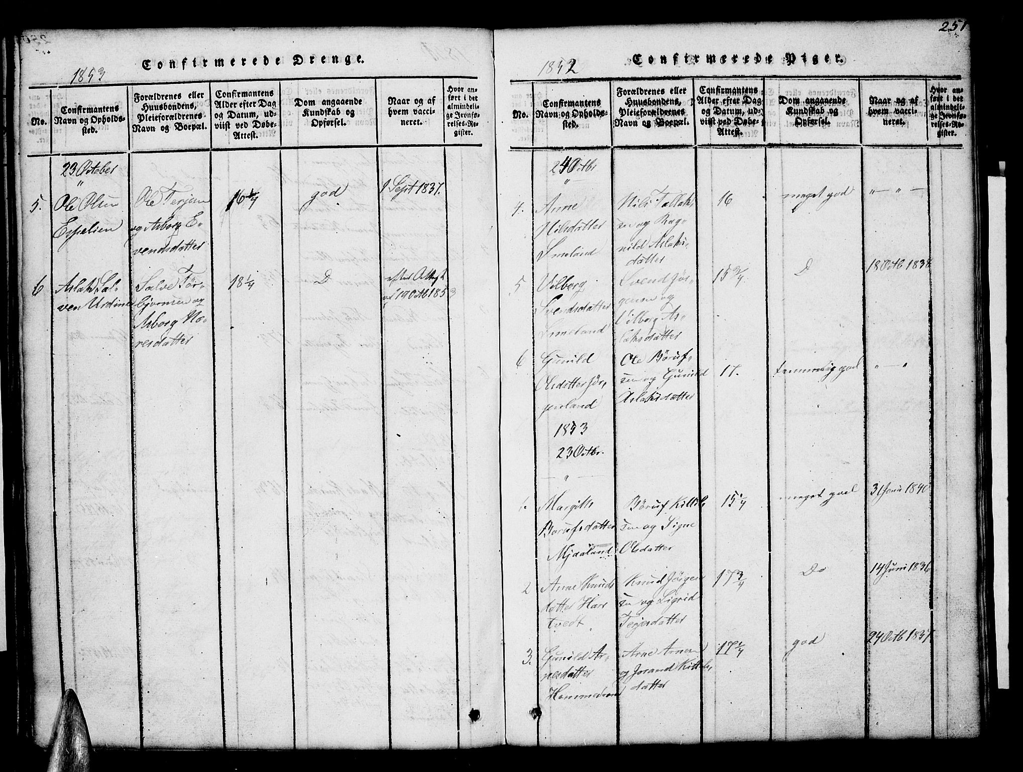 Åmli sokneprestkontor, AV/SAK-1111-0050/F/Fb/Fba/L0001: Parish register (copy) no. B 1, 1816-1890, p. 251