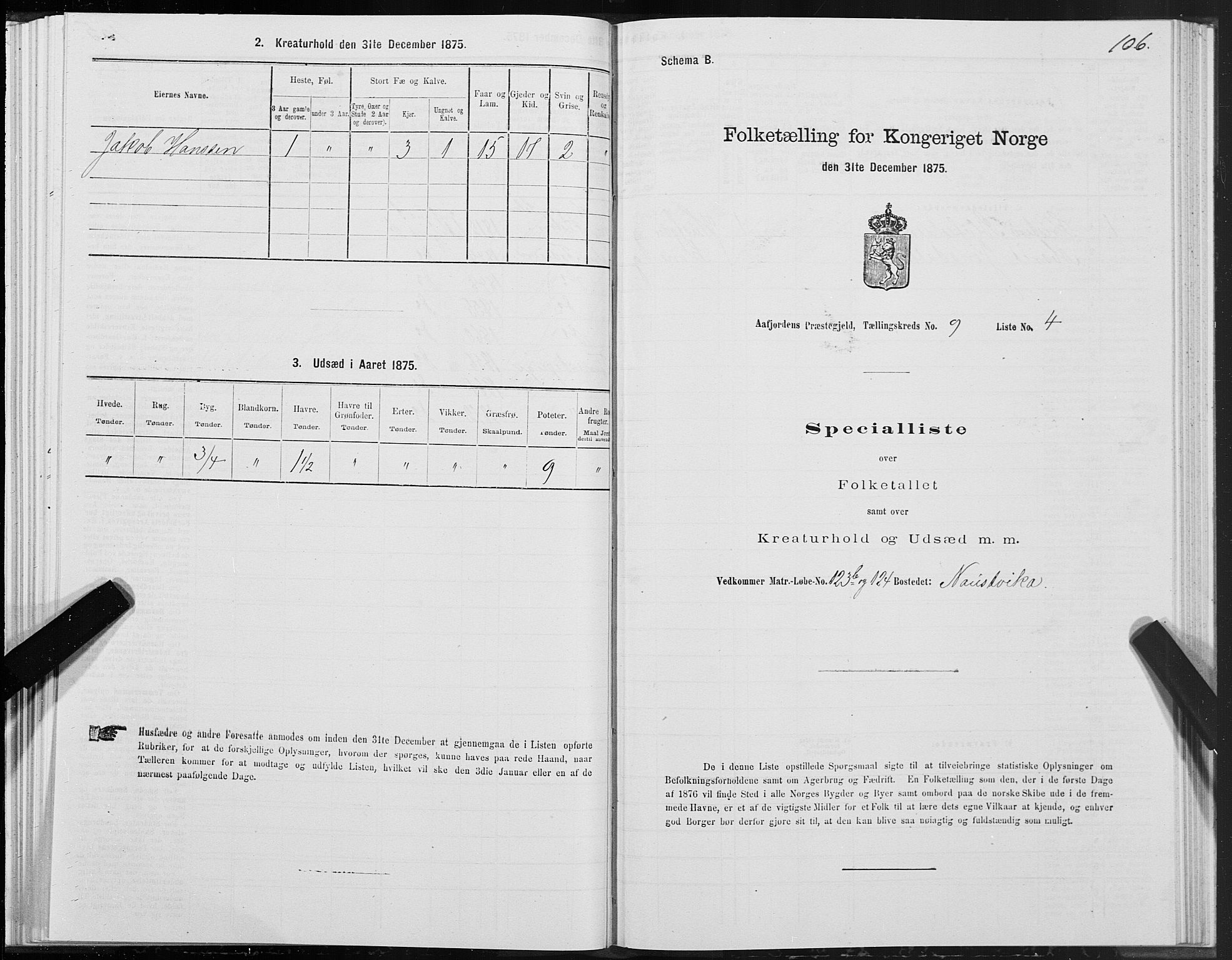 SAT, 1875 census for 1630P Aafjorden, 1875, p. 4106