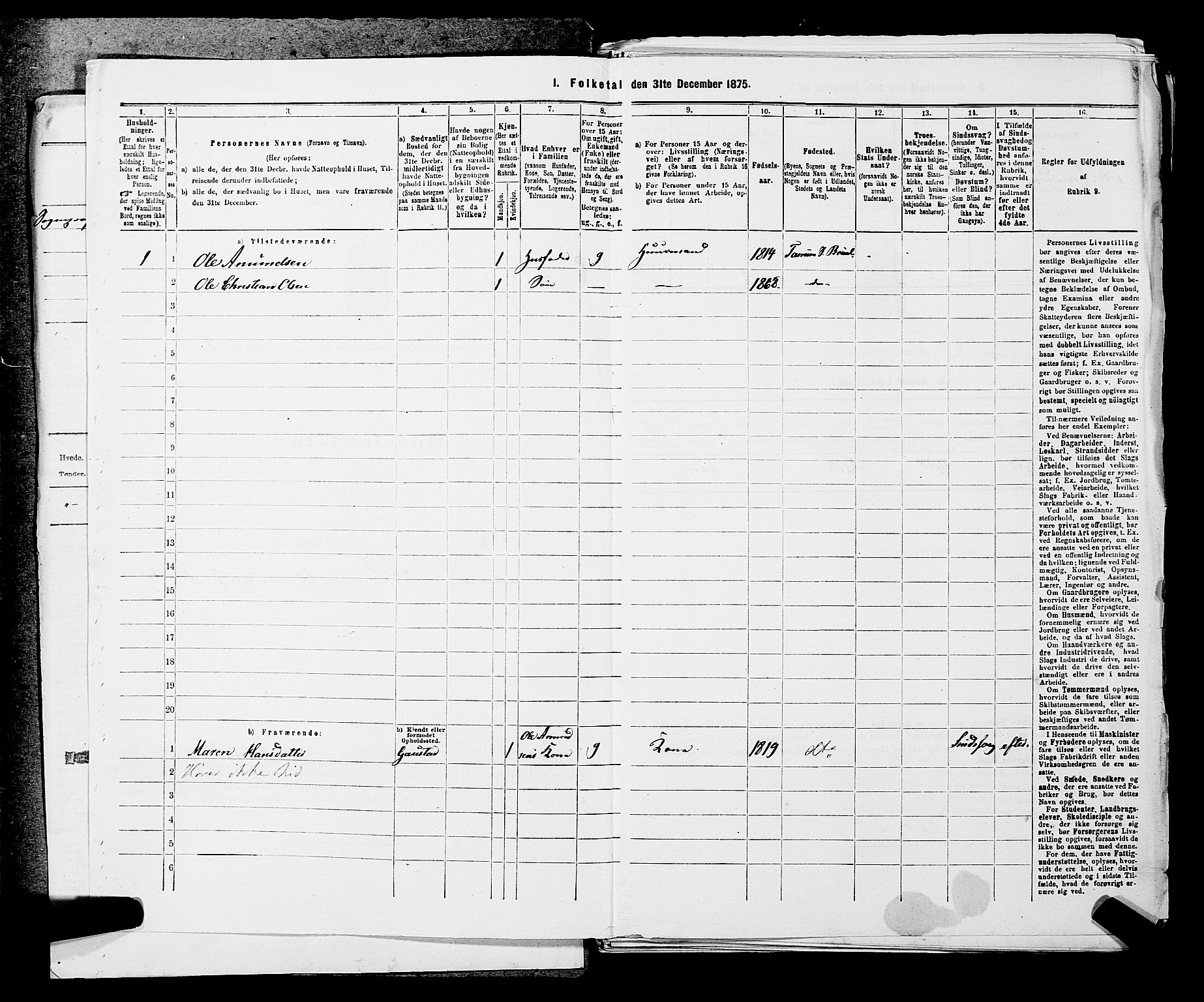 SAKO, 1875 census for 0726P Brunlanes, 1875, p. 325