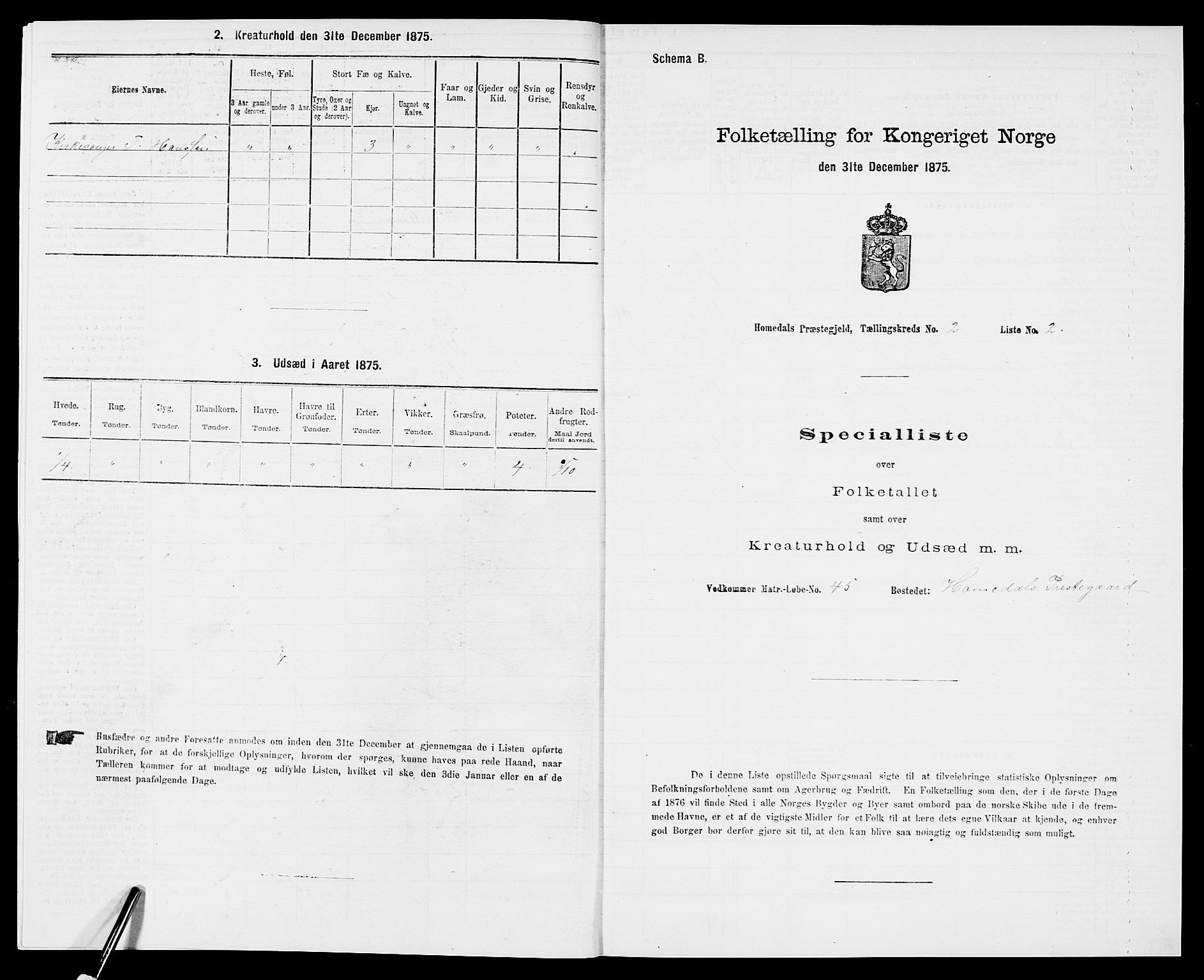SAK, 1875 census for 0924P Homedal, 1875, p. 531