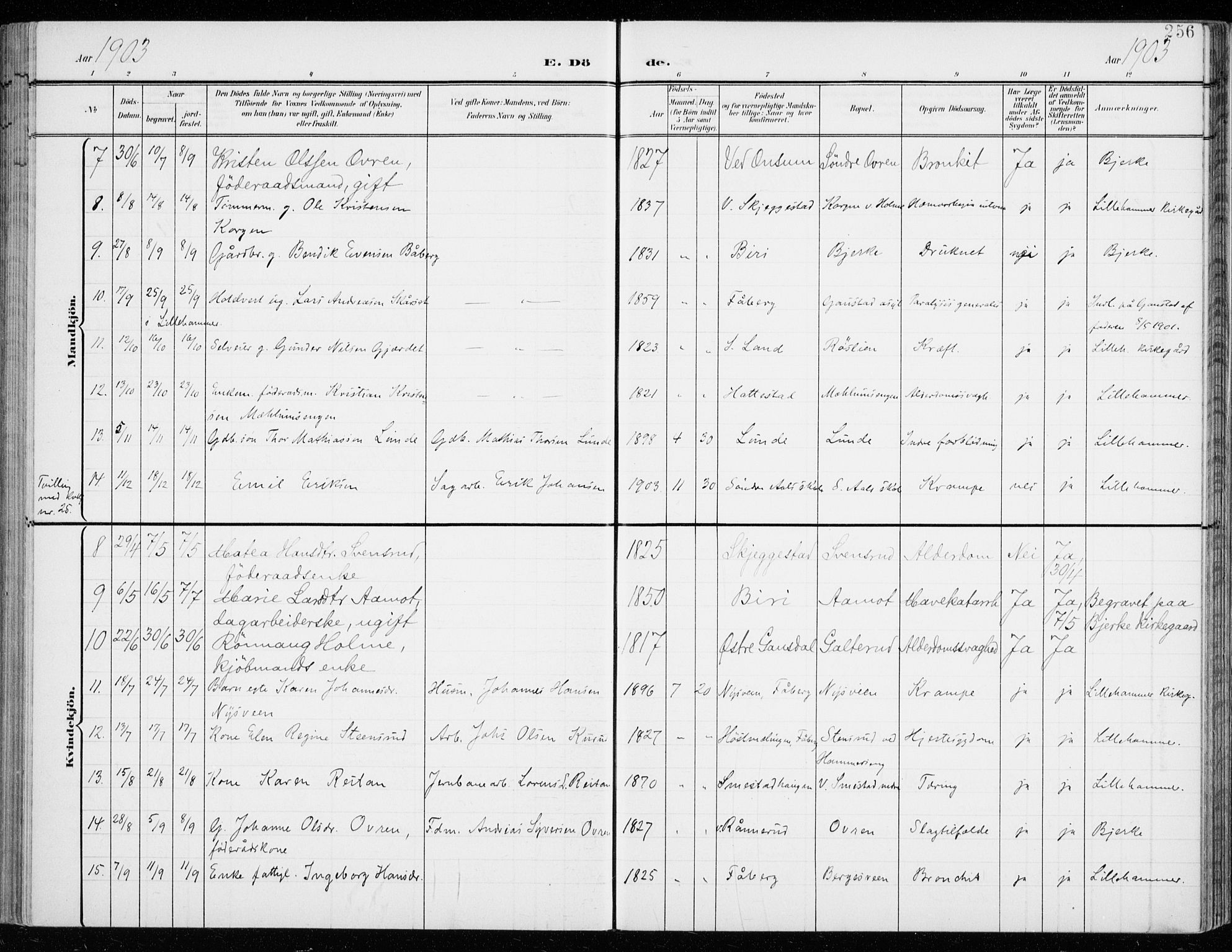 Fåberg prestekontor, SAH/PREST-086/H/Ha/Haa/L0011: Parish register (official) no. 11, 1899-1913, p. 256