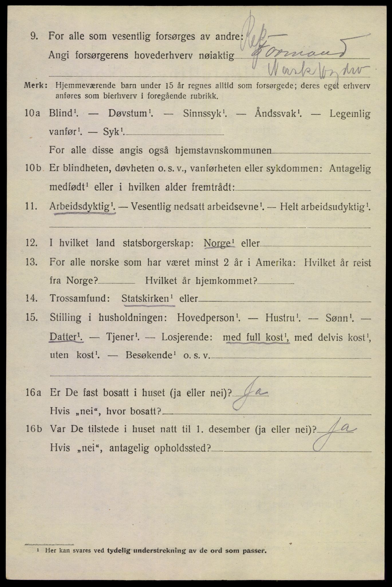 SAKO, 1920 census for Tinn, 1920, p. 10939