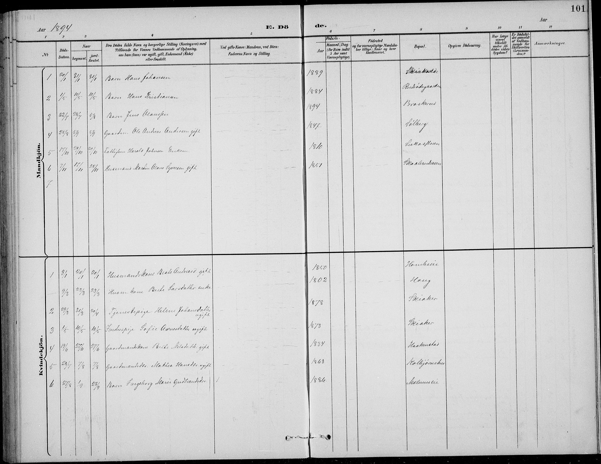 Nordre Land prestekontor, AV/SAH-PREST-124/H/Ha/Hab/L0014: Parish register (copy) no. 14, 1891-1907, p. 101