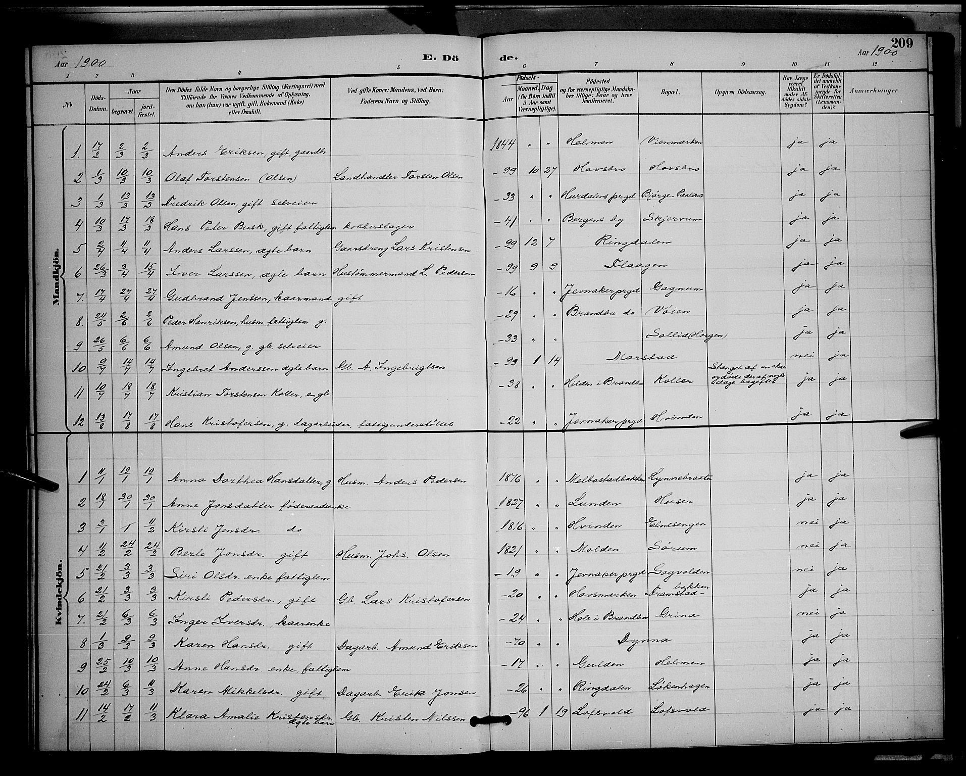 Gran prestekontor, SAH/PREST-112/H/Ha/Hab/L0005: Parish register (copy) no. 5, 1892-1900, p. 209