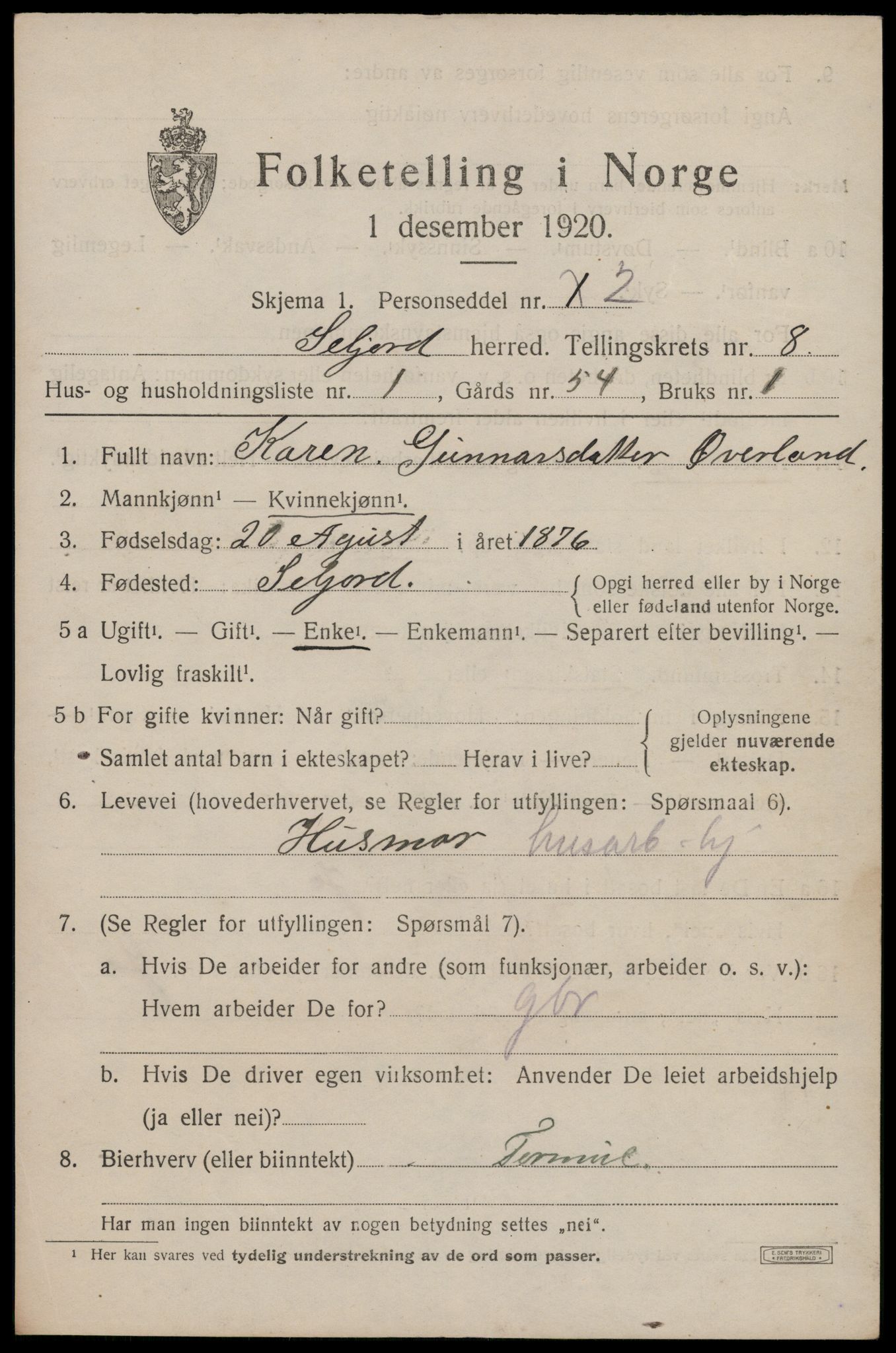 SAKO, 1920 census for Seljord, 1920, p. 3898