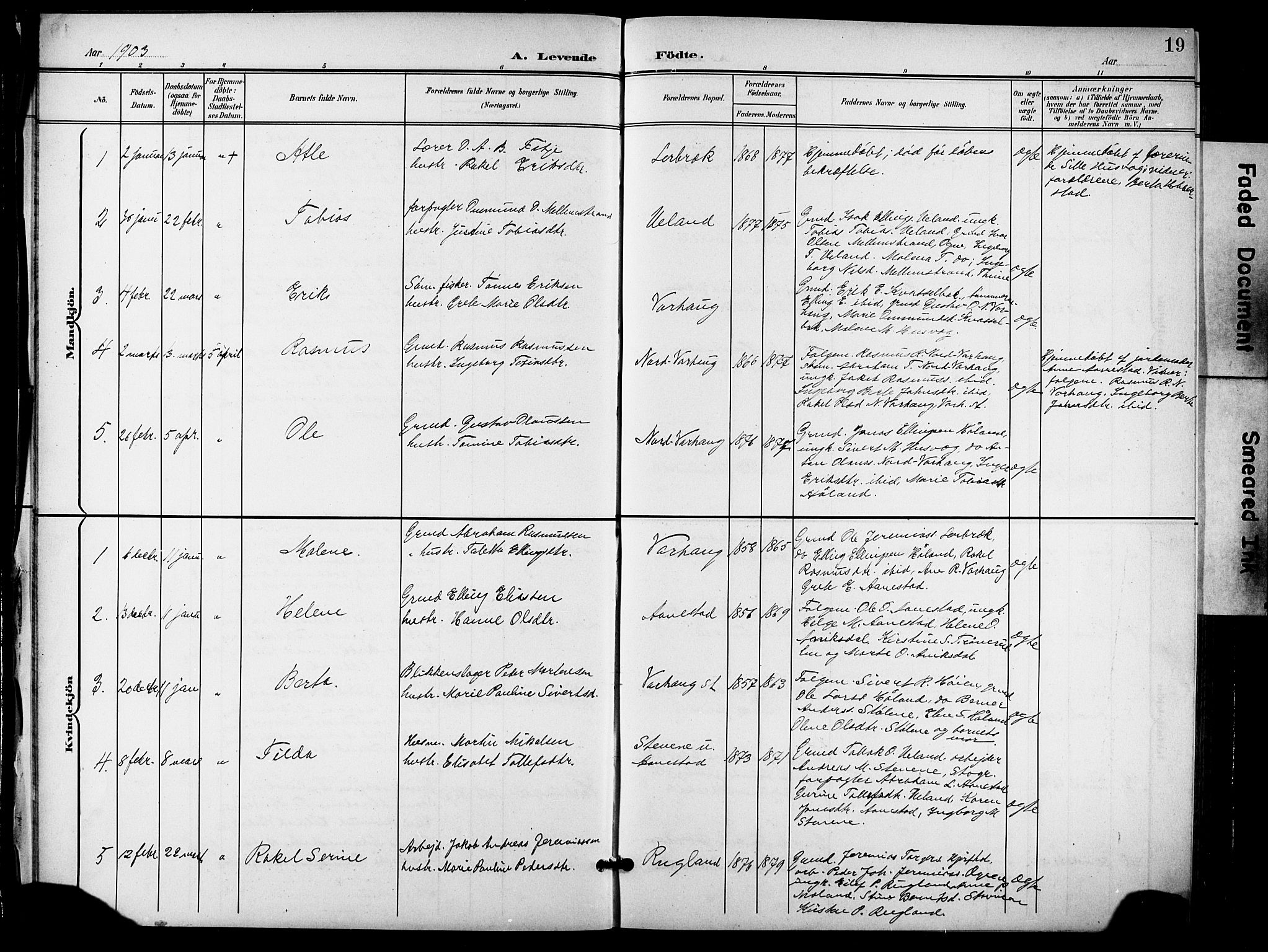 Hå sokneprestkontor, AV/SAST-A-101801/001/30BB/L0006: Parish register (copy) no. B 6, 1900-1924, p. 19