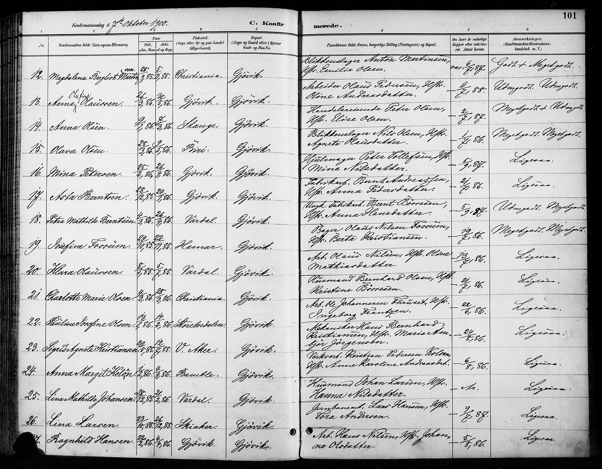 Vardal prestekontor, AV/SAH-PREST-100/H/Ha/Haa/L0011: Parish register (official) no. 11, 1891-1901, p. 101