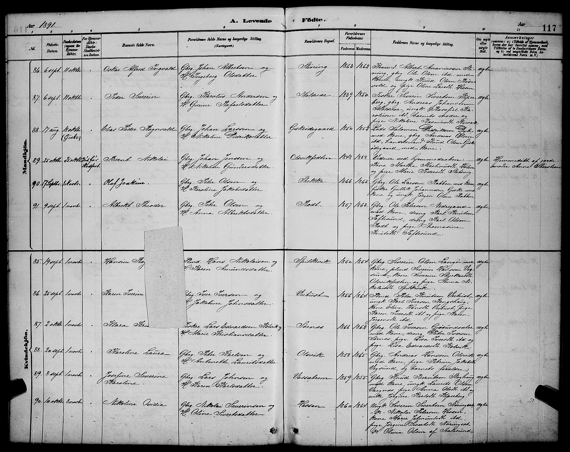 Ministerialprotokoller, klokkerbøker og fødselsregistre - Møre og Romsdal, AV/SAT-A-1454/528/L0431: Parish register (copy) no. 528C12, 1885-1898, p. 117