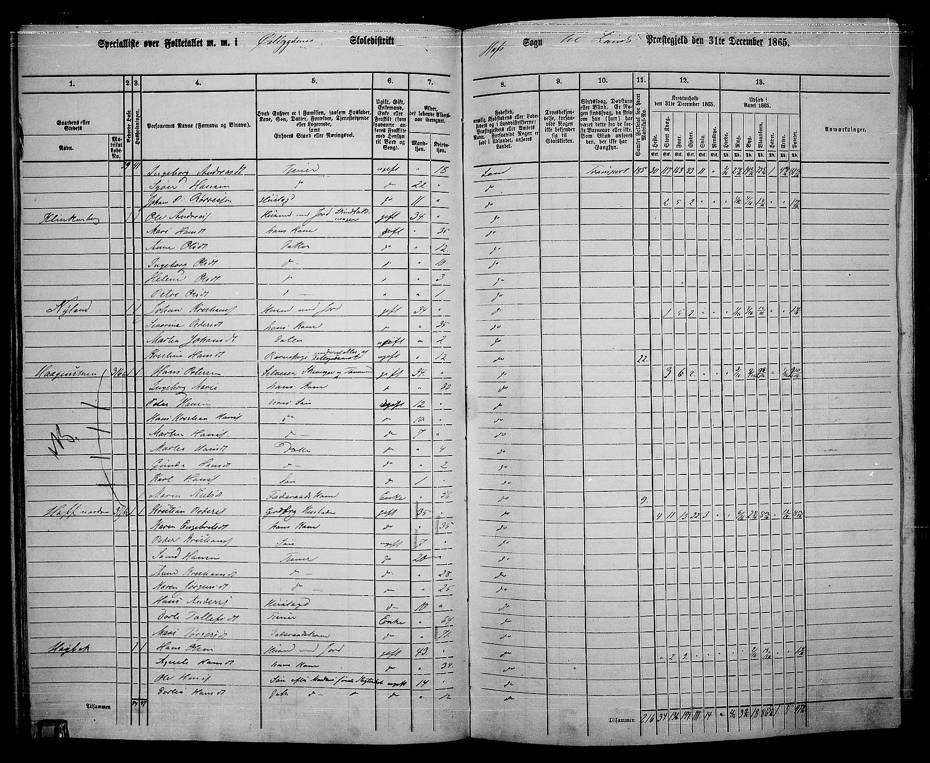 RA, 1865 census for Land, 1865, p. 336