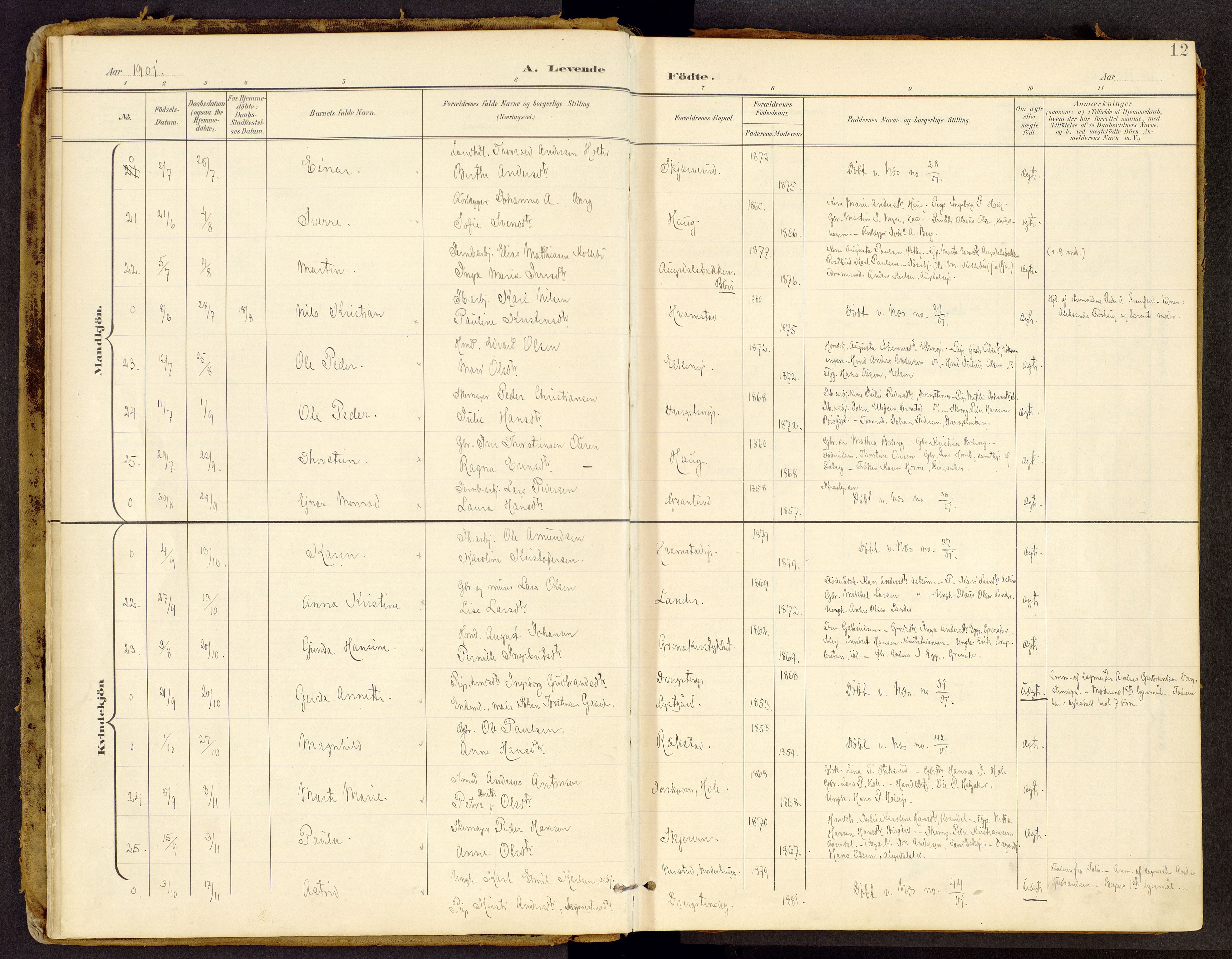 Brandbu prestekontor, SAH/PREST-114/H/Ha/Haa/L0002: Parish register (official) no. 2, 1899-1914, p. 12
