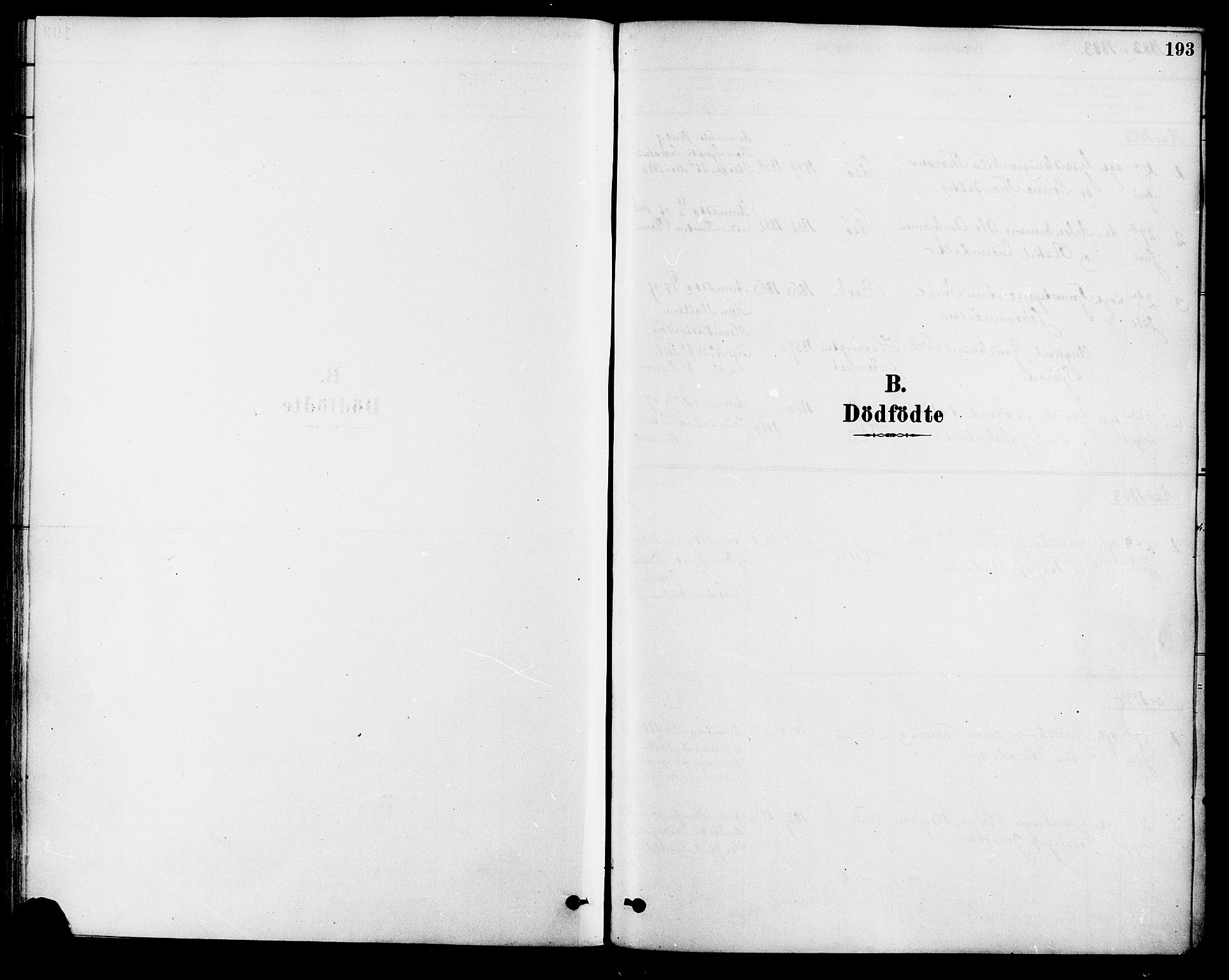 Strand sokneprestkontor, SAST/A-101828/H/Ha/Haa/L0009: Parish register (official) no. A 9, 1877-1908, p. 193