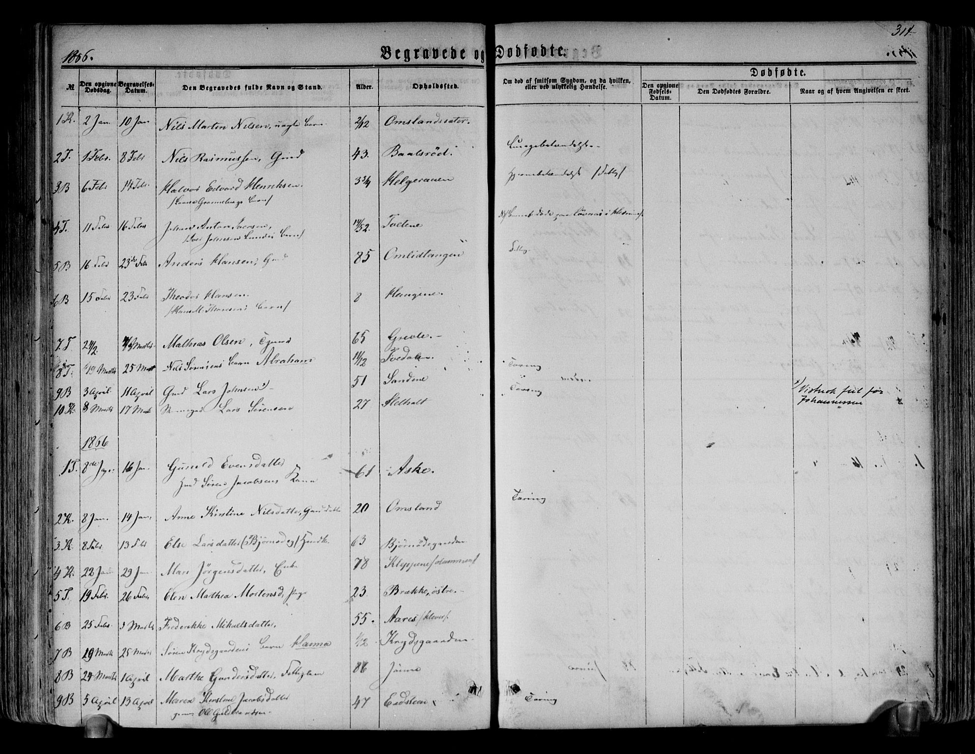 Brunlanes kirkebøker, AV/SAKO-A-342/F/Fa/L0005: Parish register (official) no. I 5, 1862-1877, p. 314