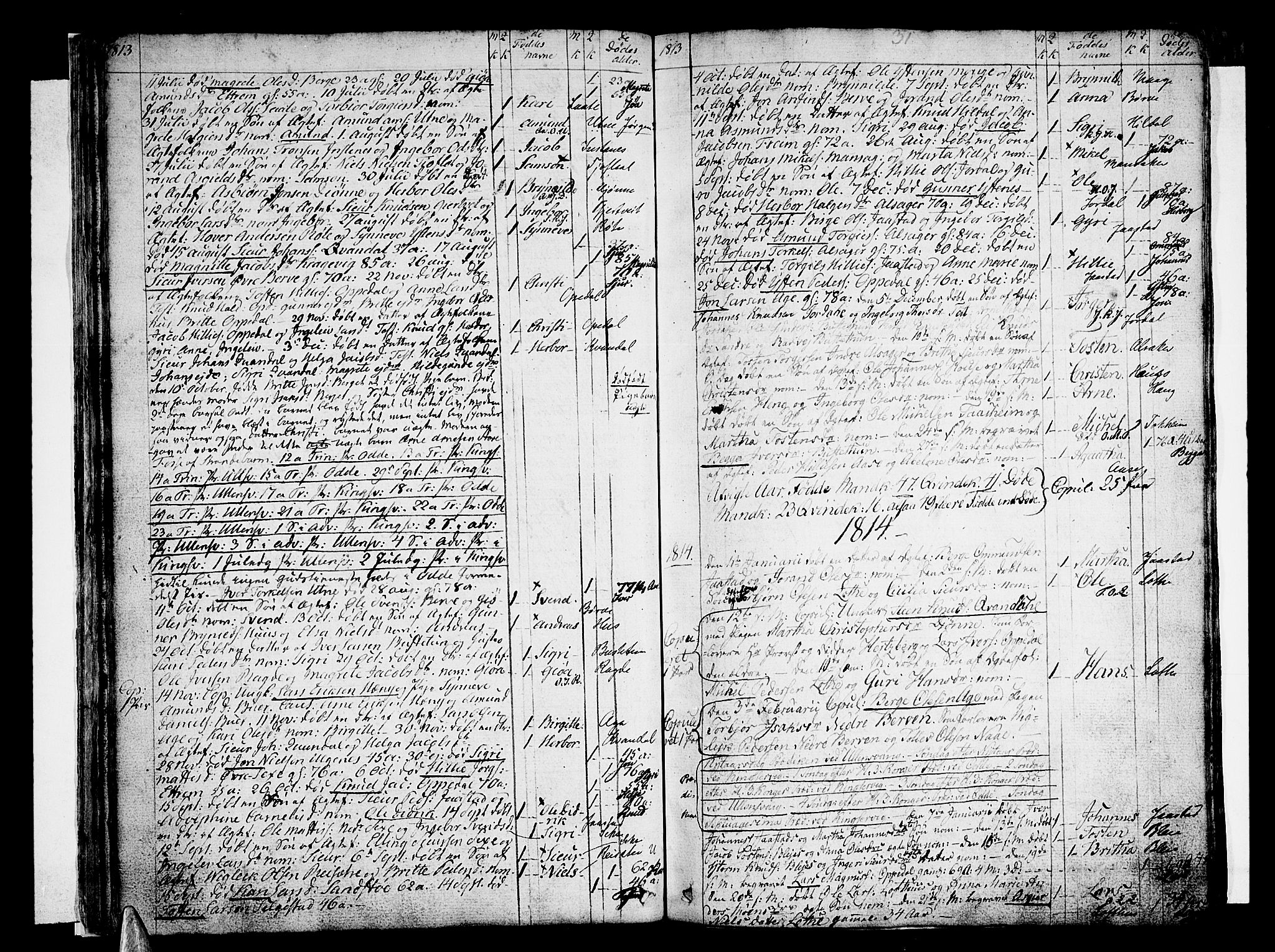 Ullensvang sokneprestembete, SAB/A-78701/H/Haa: Parish register (official) no. A 8, 1804-1835, p. 31