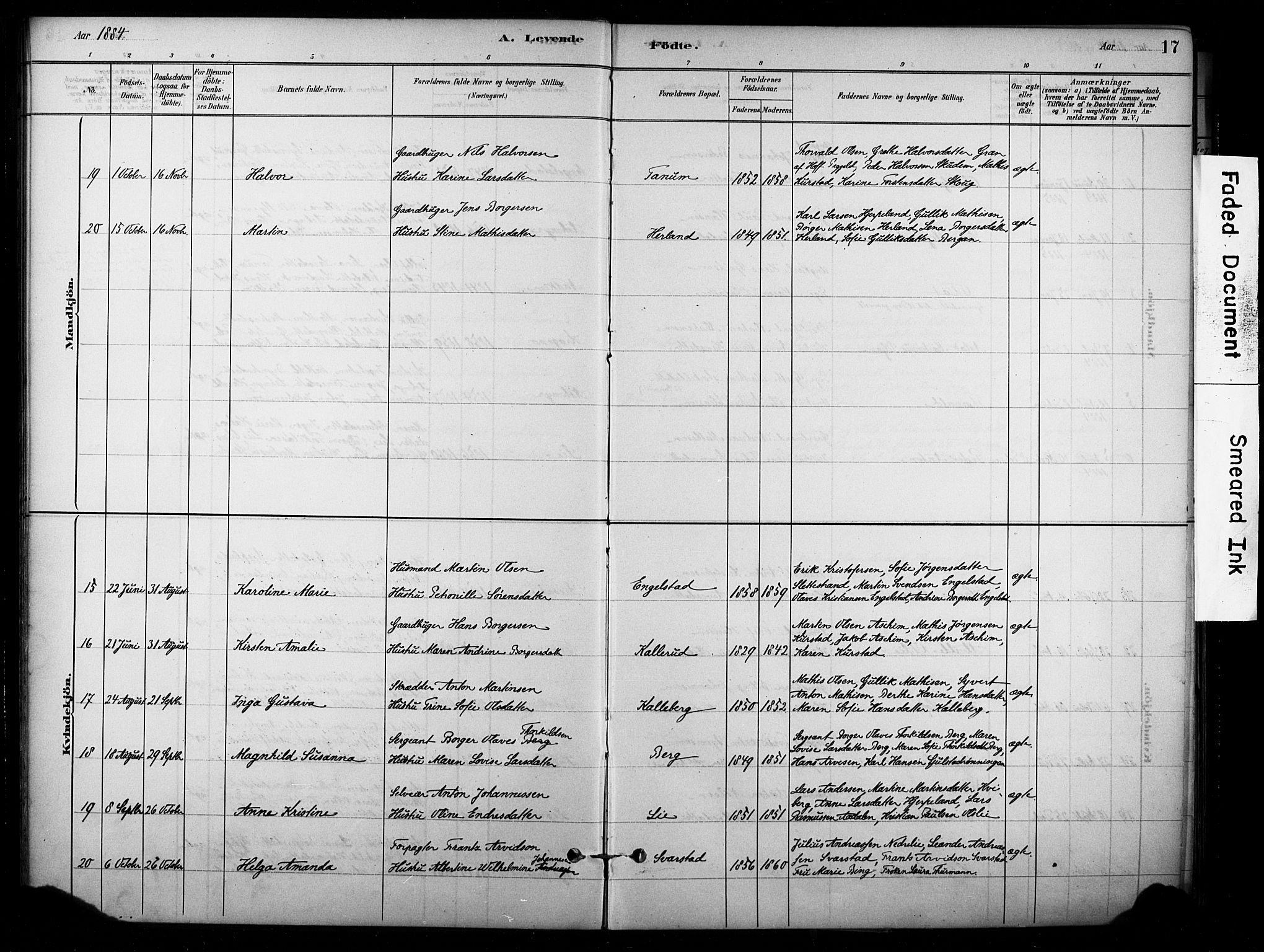 Lardal kirkebøker, AV/SAKO-A-350/F/Fb/L0001: Parish register (official) no. II 1, 1881-1911, p. 17