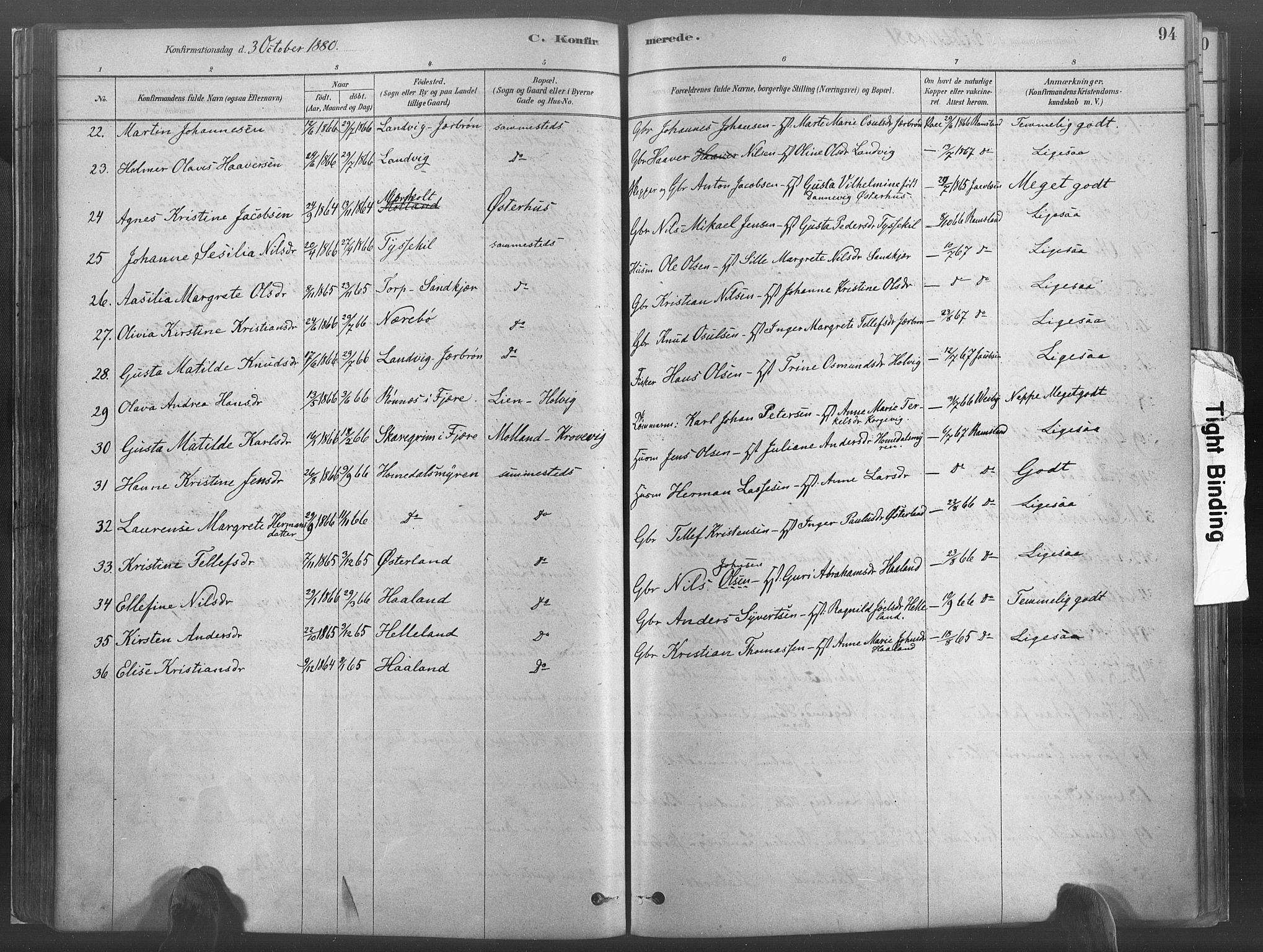 Hommedal sokneprestkontor, AV/SAK-1111-0023/F/Fa/Fab/L0006: Parish register (official) no. A 6, 1878-1897, p. 94