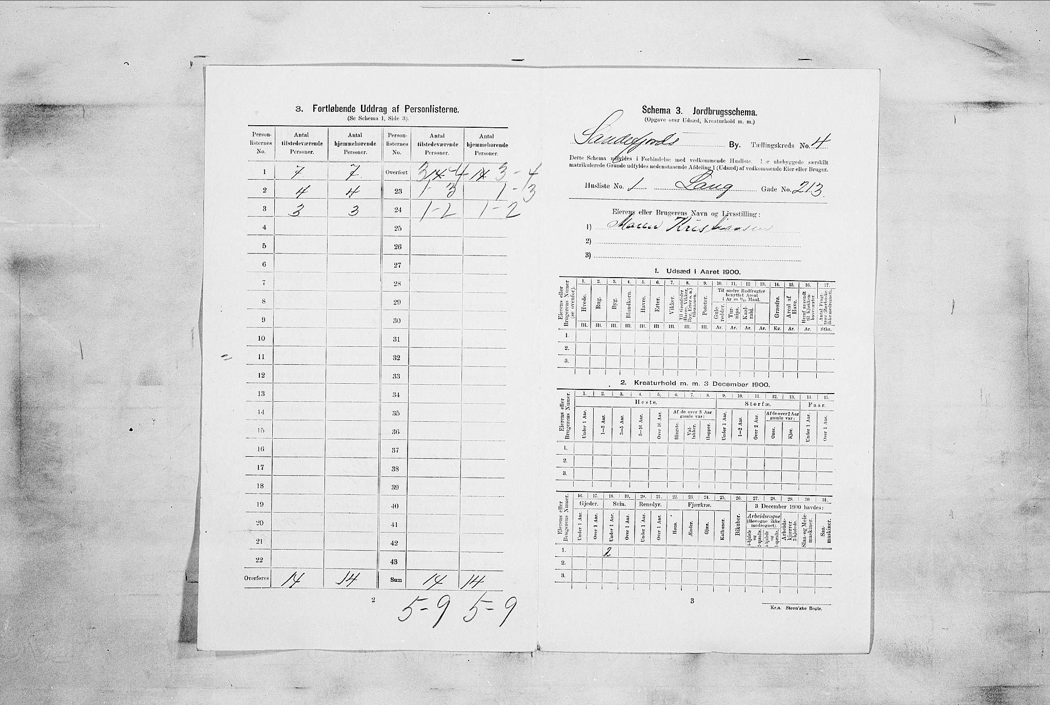 RA, 1900 census for Sandefjord, 1900, p. 903