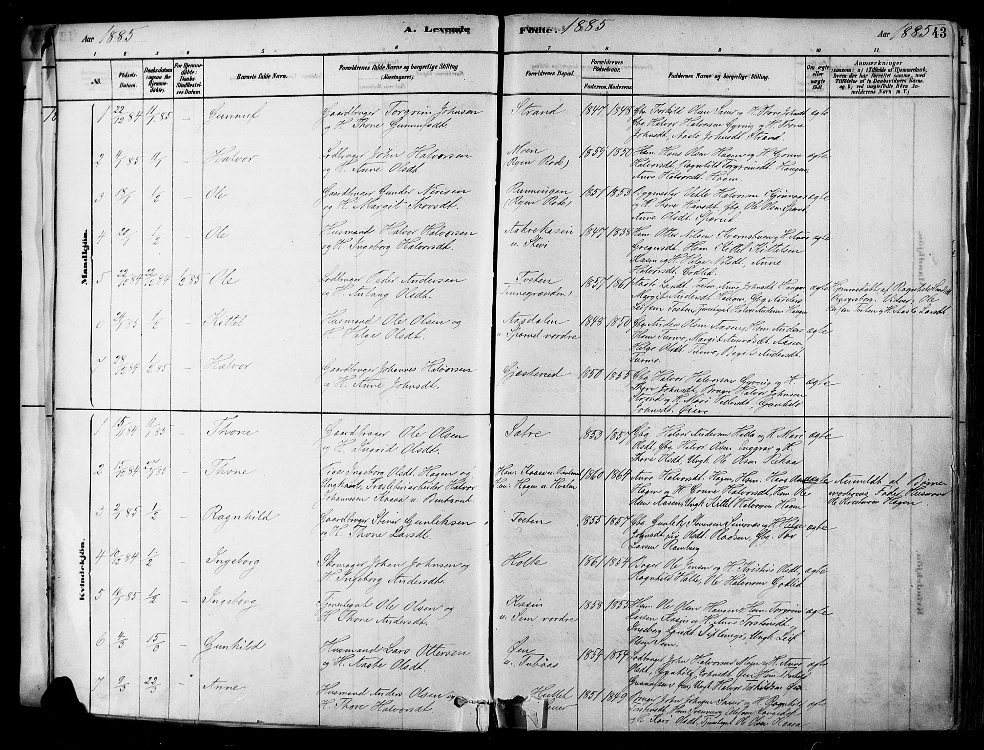 Heddal kirkebøker, SAKO/A-268/F/Fa/L0008: Parish register (official) no. I 8, 1878-1903, p. 43