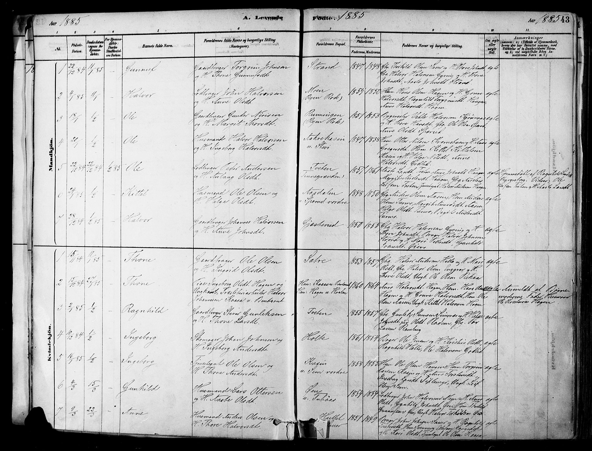 Heddal kirkebøker, AV/SAKO-A-268/F/Fa/L0008: Parish register (official) no. I 8, 1878-1903, p. 43