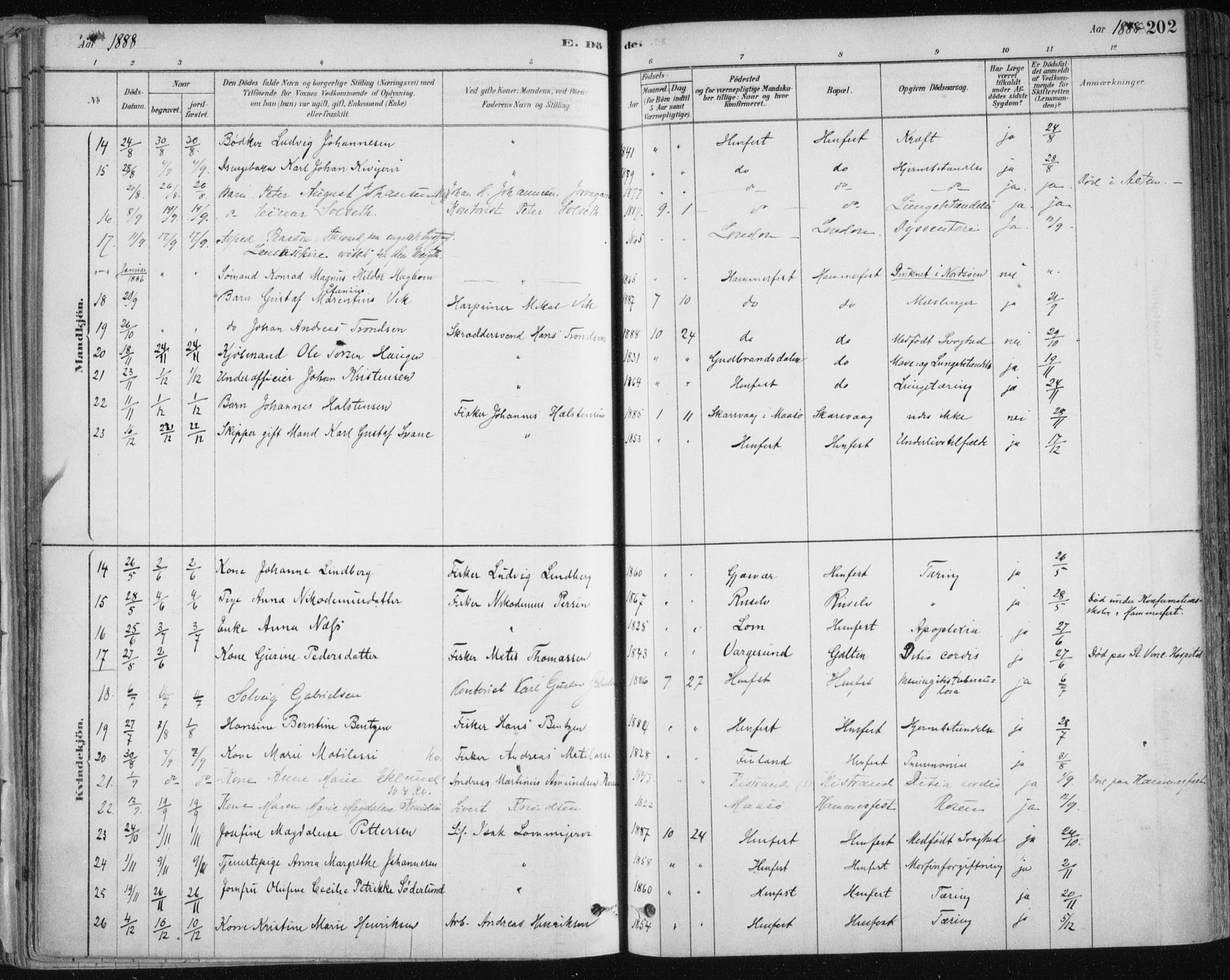 Hammerfest sokneprestkontor, AV/SATØ-S-1347/H/Ha/L0008.kirke: Parish register (official) no. 8, 1878-1889, p. 202