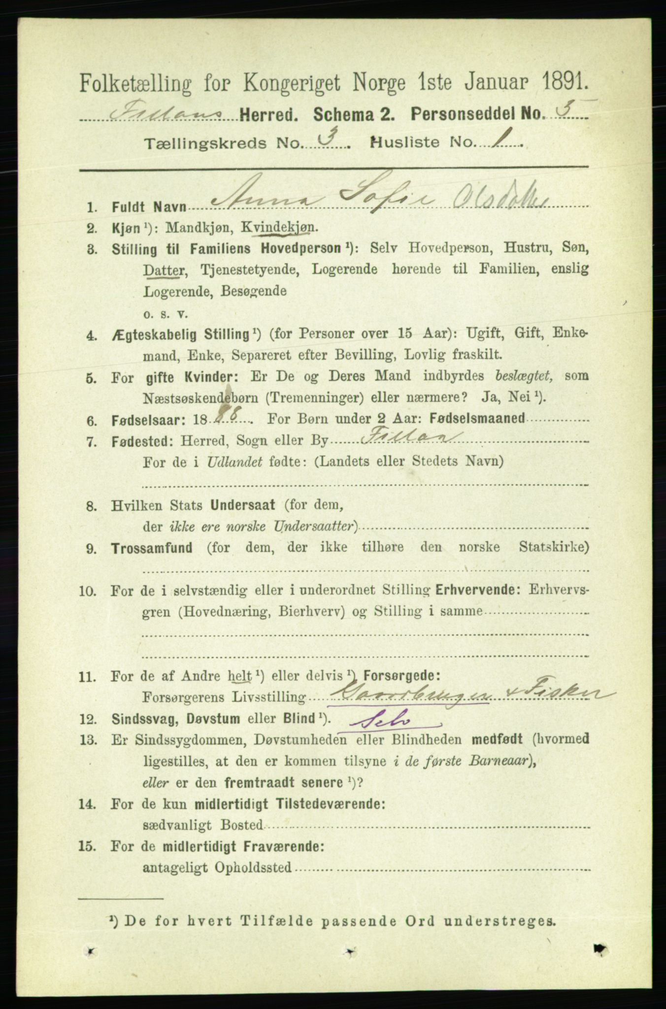 RA, 1891 census for 1616 Fillan, 1891, p. 460