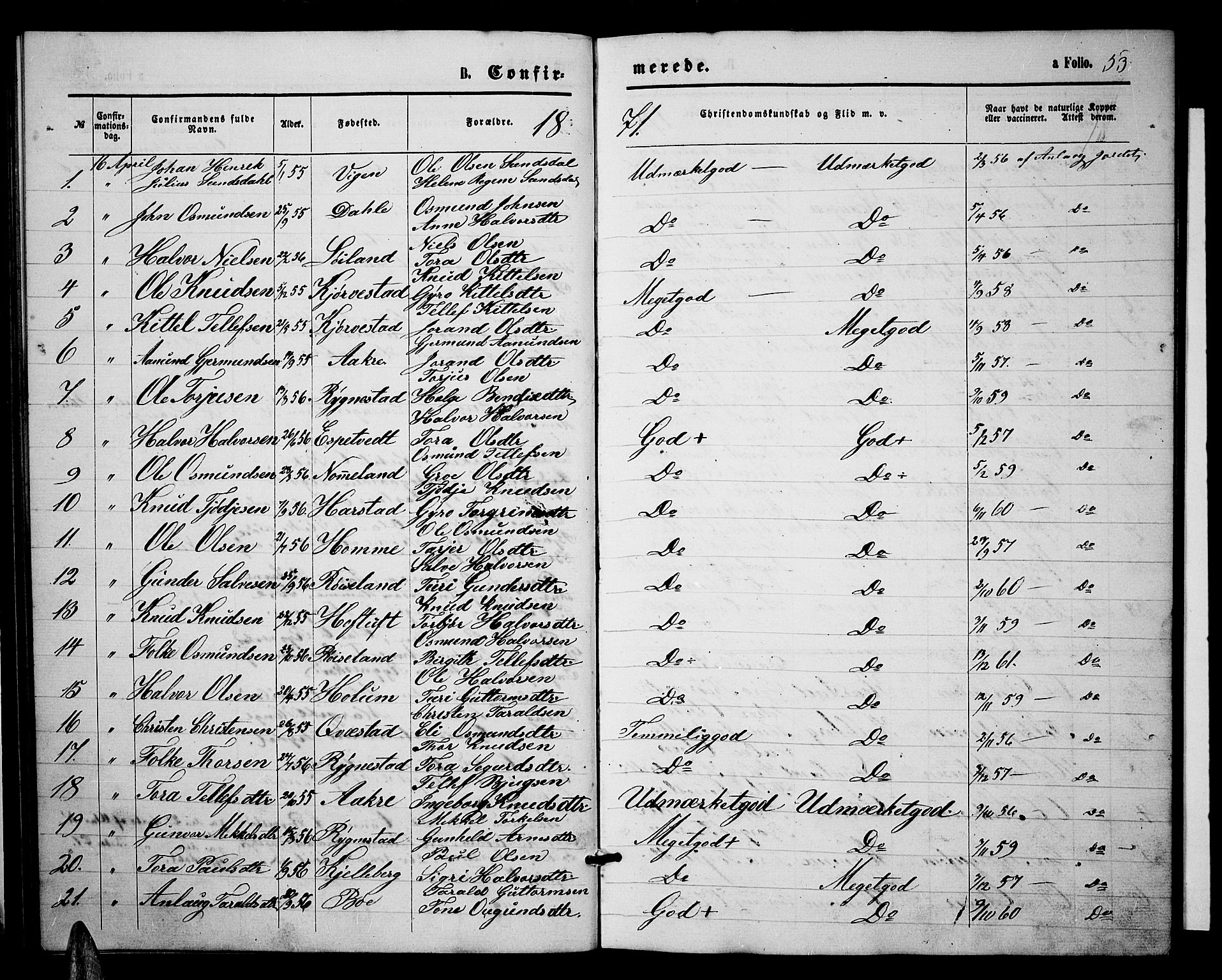 Valle sokneprestkontor, SAK/1111-0044/F/Fb/Fbc/L0003: Parish register (copy) no. B 3, 1871-1890, p. 53