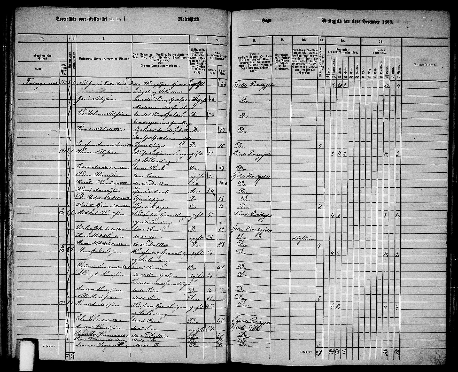 RA, 1865 census for Fjell, 1865, p. 62