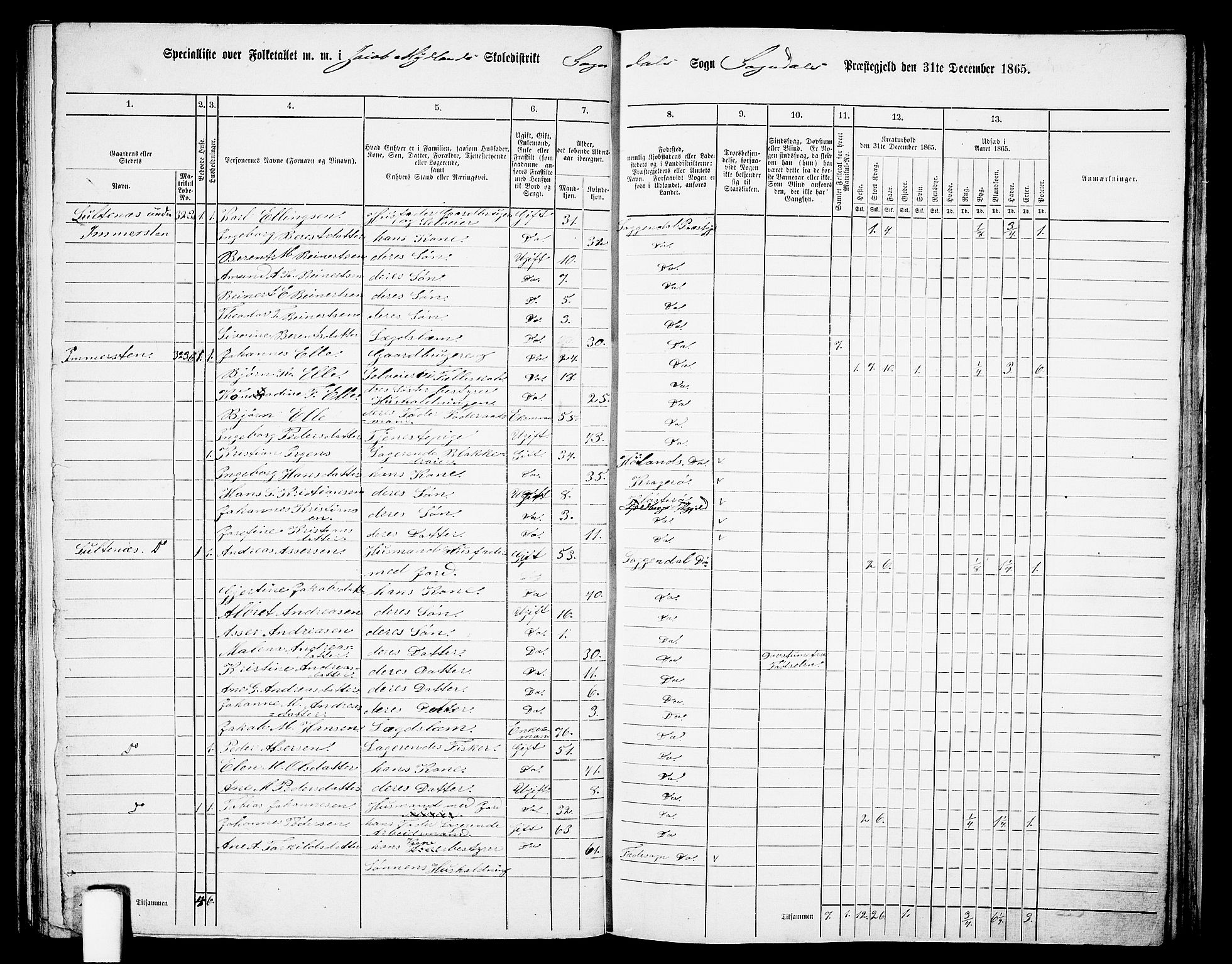 RA, 1865 census for Sokndal, 1865, p. 81