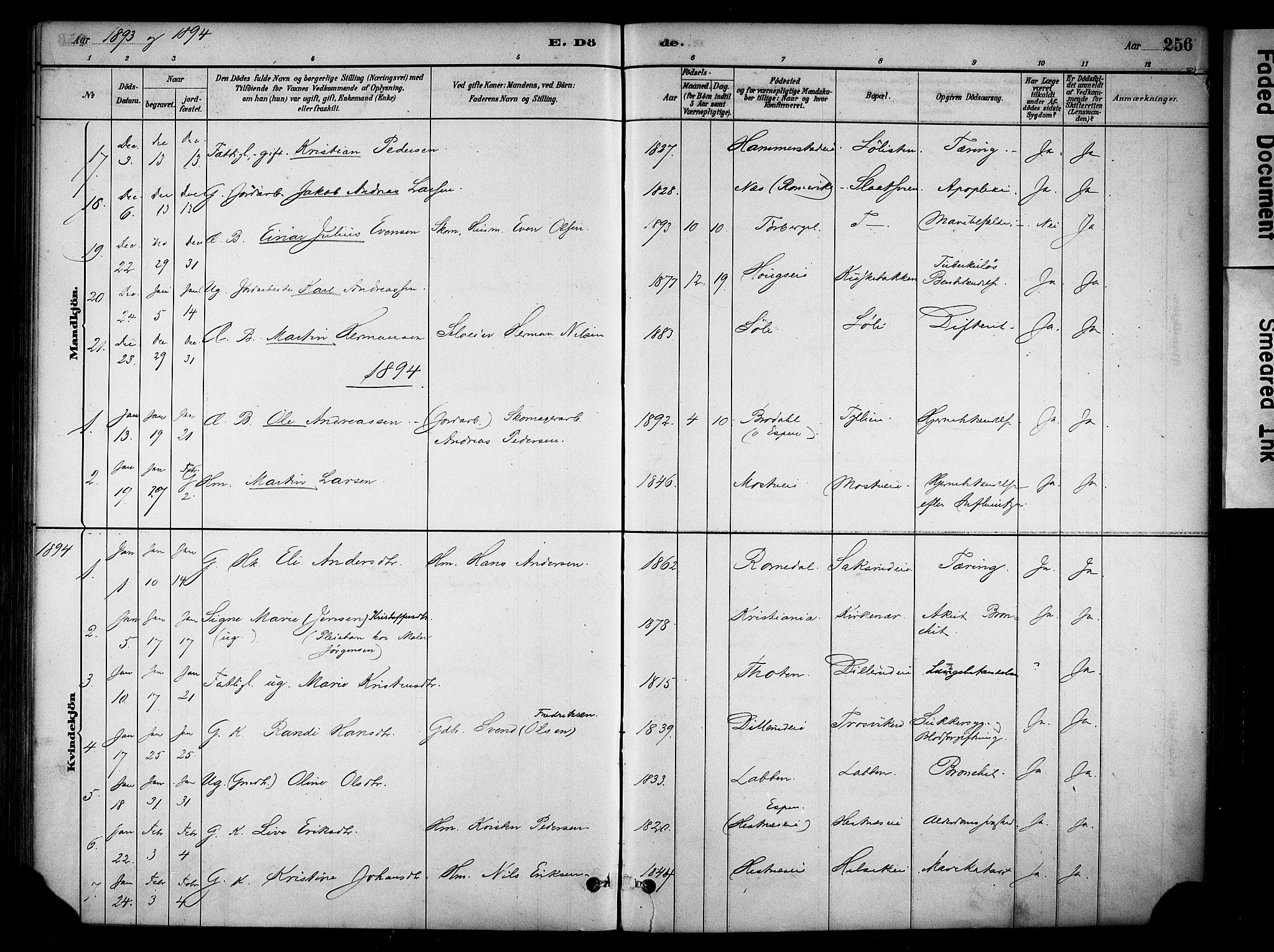 Stange prestekontor, SAH/PREST-002/K/L0018: Parish register (official) no. 18, 1880-1896, p. 256