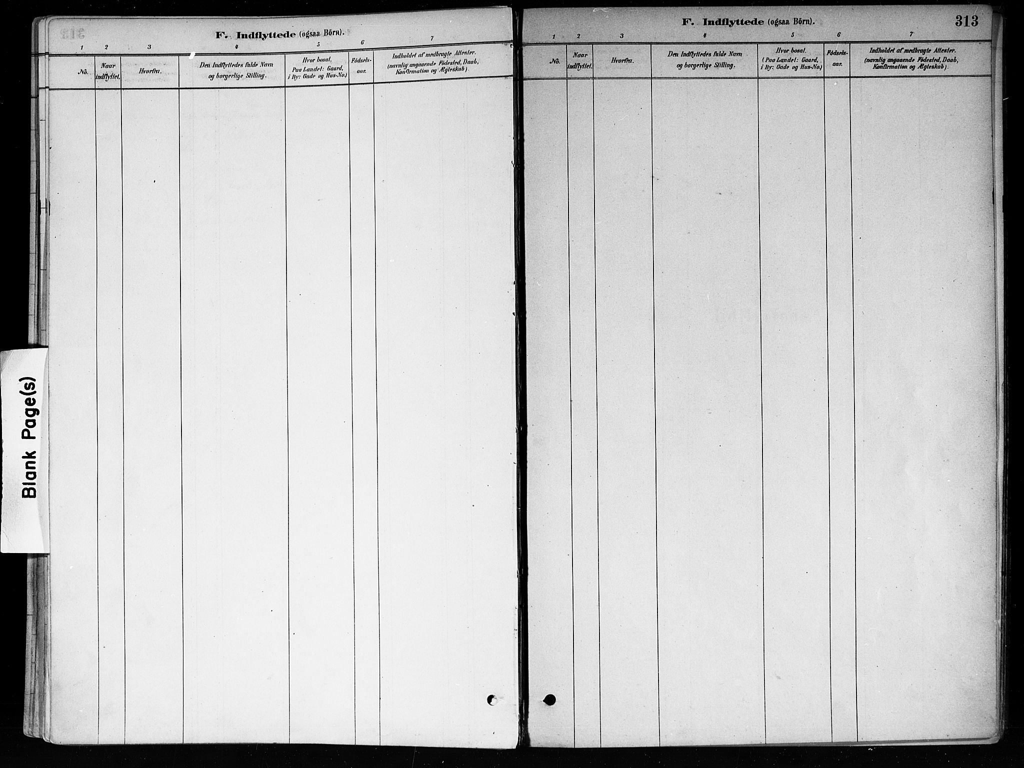 Røyken kirkebøker, AV/SAKO-A-241/F/Fa/L0008: Parish register (official) no. 8, 1880-1897, p. 313