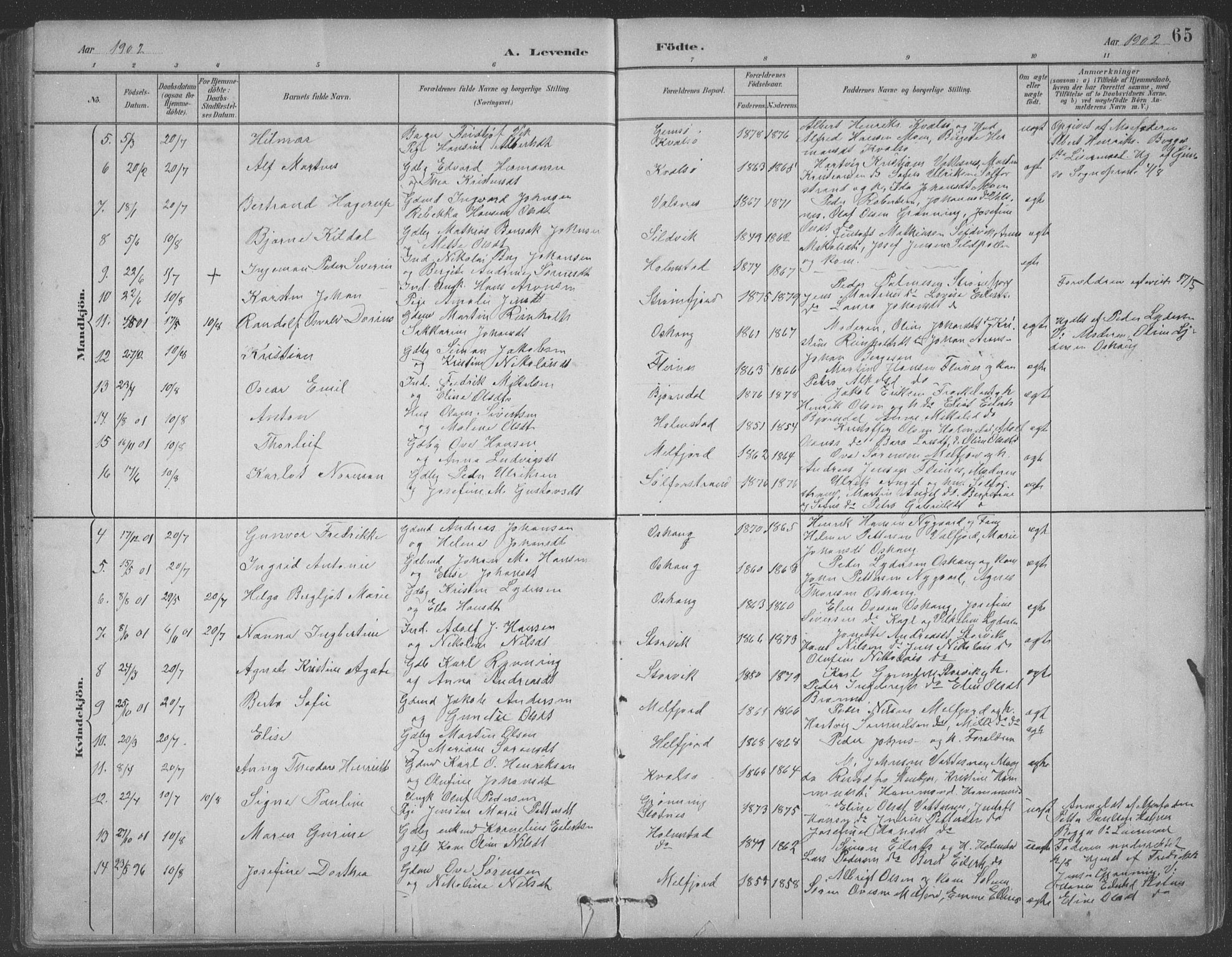 Ministerialprotokoller, klokkerbøker og fødselsregistre - Nordland, AV/SAT-A-1459/890/L1290: Parish register (copy) no. 890C01, 1882-1911, p. 65