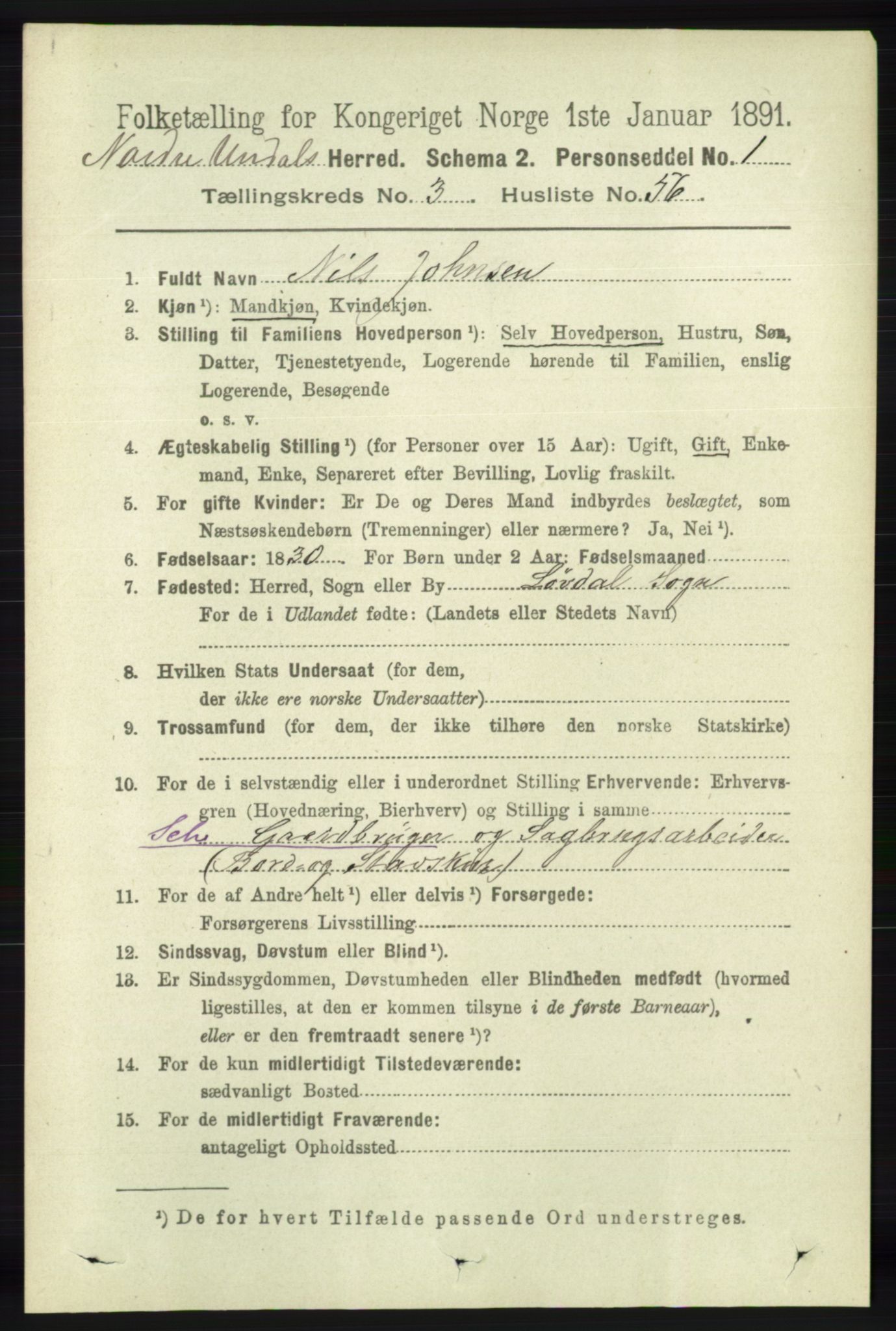 RA, 1891 census for 1028 Nord-Audnedal, 1891, p. 1017