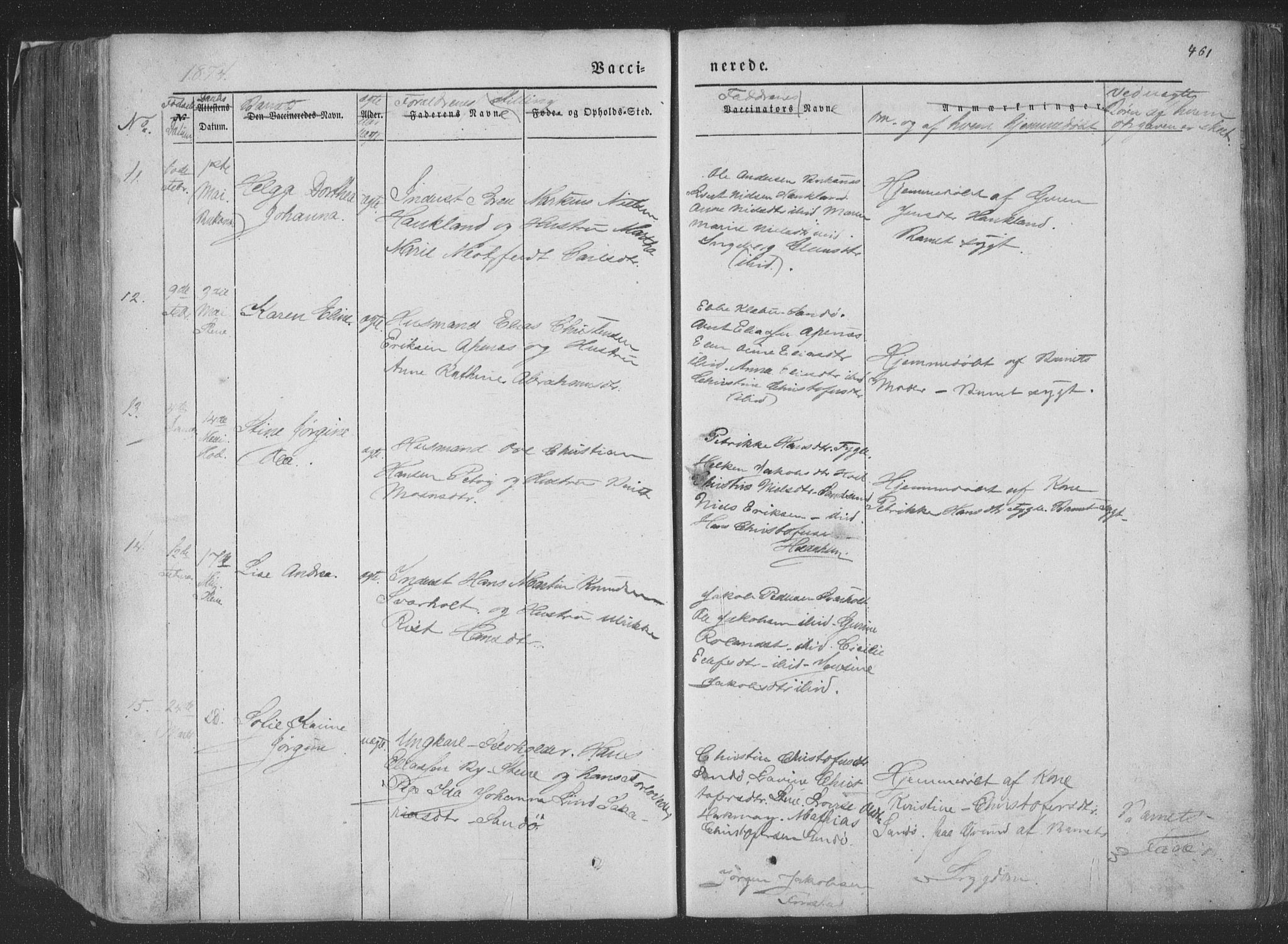 Ministerialprotokoller, klokkerbøker og fødselsregistre - Nordland, AV/SAT-A-1459/881/L1165: Parish register (copy) no. 881C02, 1854-1876, p. 461