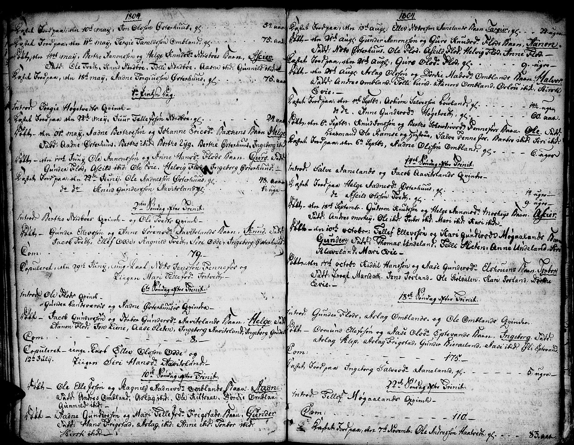 Evje sokneprestkontor, AV/SAK-1111-0008/F/Fa/Faa/L0003: Parish register (official) no. A 3, 1787-1816, p. 49