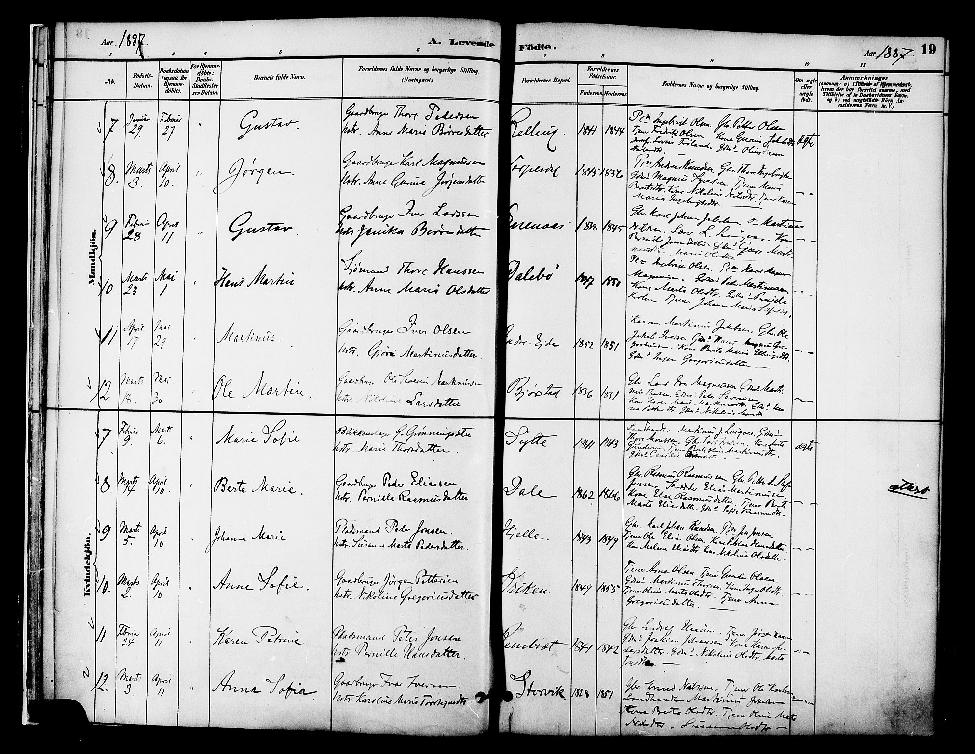 Ministerialprotokoller, klokkerbøker og fødselsregistre - Møre og Romsdal, AV/SAT-A-1454/519/L0255: Parish register (official) no. 519A14, 1884-1908, p. 19