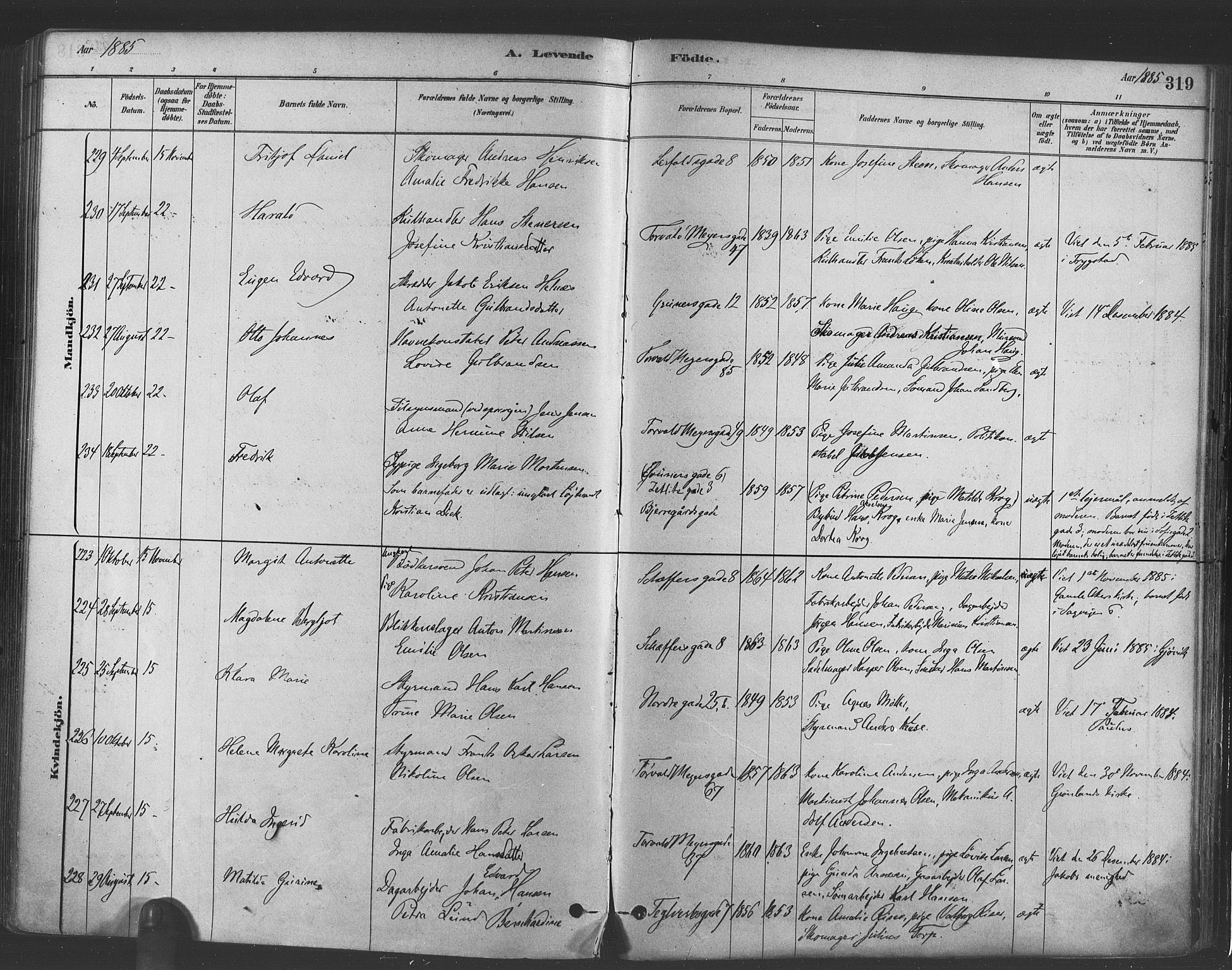 Paulus prestekontor Kirkebøker, AV/SAO-A-10871/F/Fa/L0003: Parish register (official) no. 3, 1879-1887, p. 319