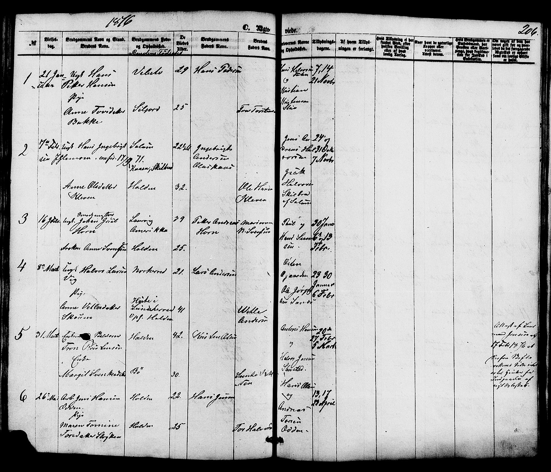 Holla kirkebøker, SAKO/A-272/F/Fa/L0007: Parish register (official) no. 7, 1869-1881, p. 206