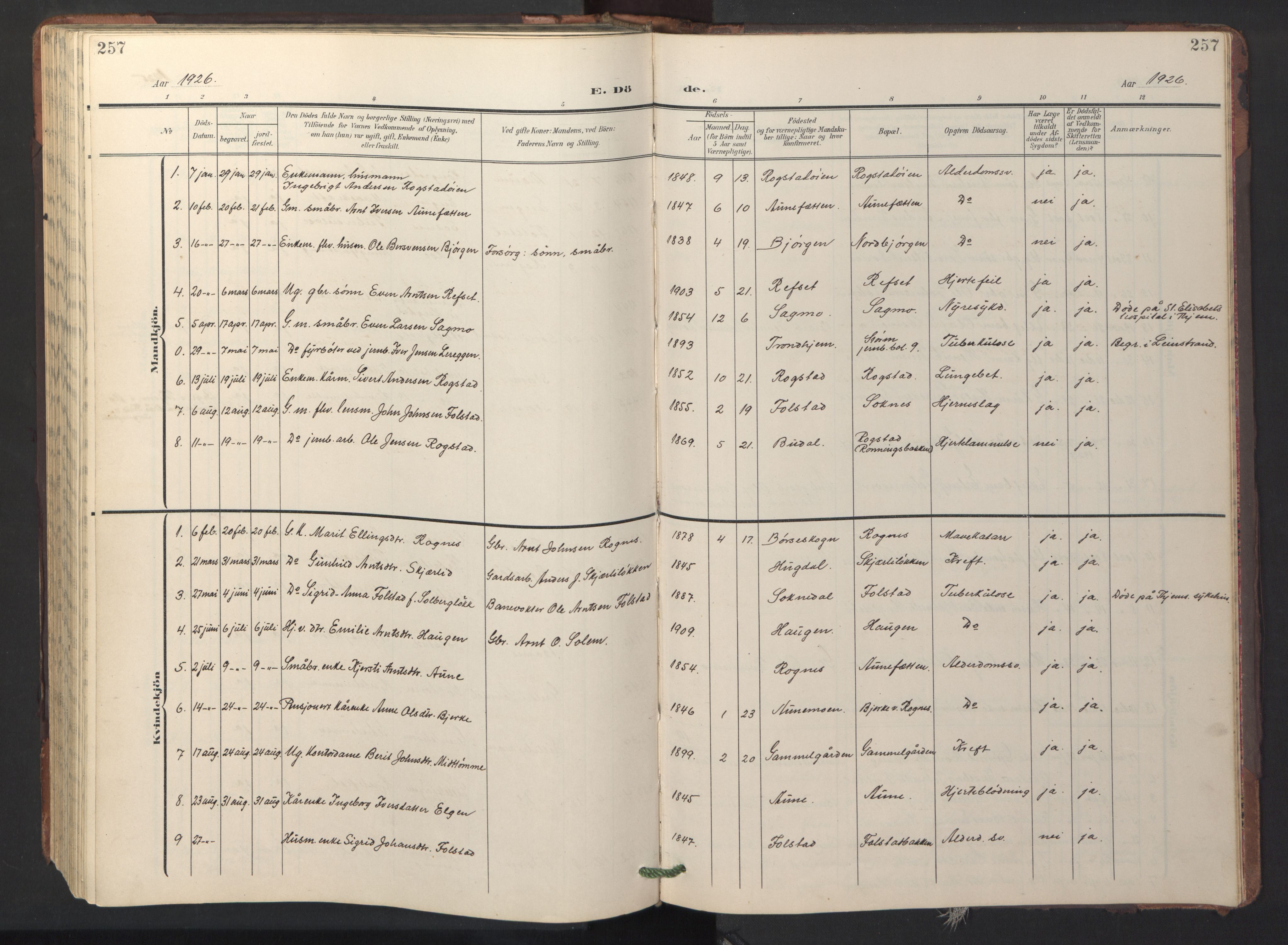 Ministerialprotokoller, klokkerbøker og fødselsregistre - Sør-Trøndelag, SAT/A-1456/687/L1019: Parish register (copy) no. 687C03, 1904-1931, p. 257
