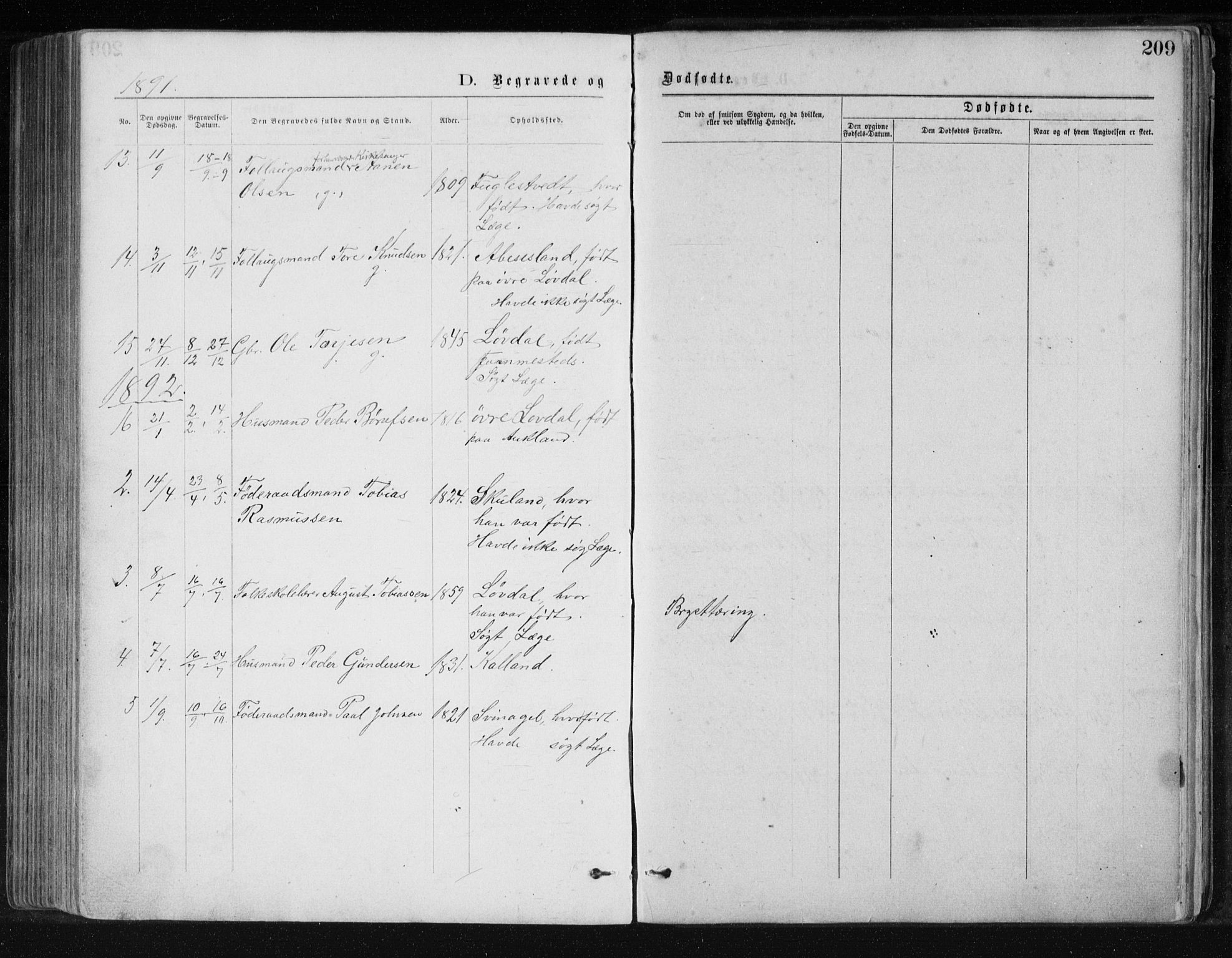 Holum sokneprestkontor, AV/SAK-1111-0022/F/Fb/Fbb/L0003: Parish register (copy) no. B 3, 1875-1898, p. 209