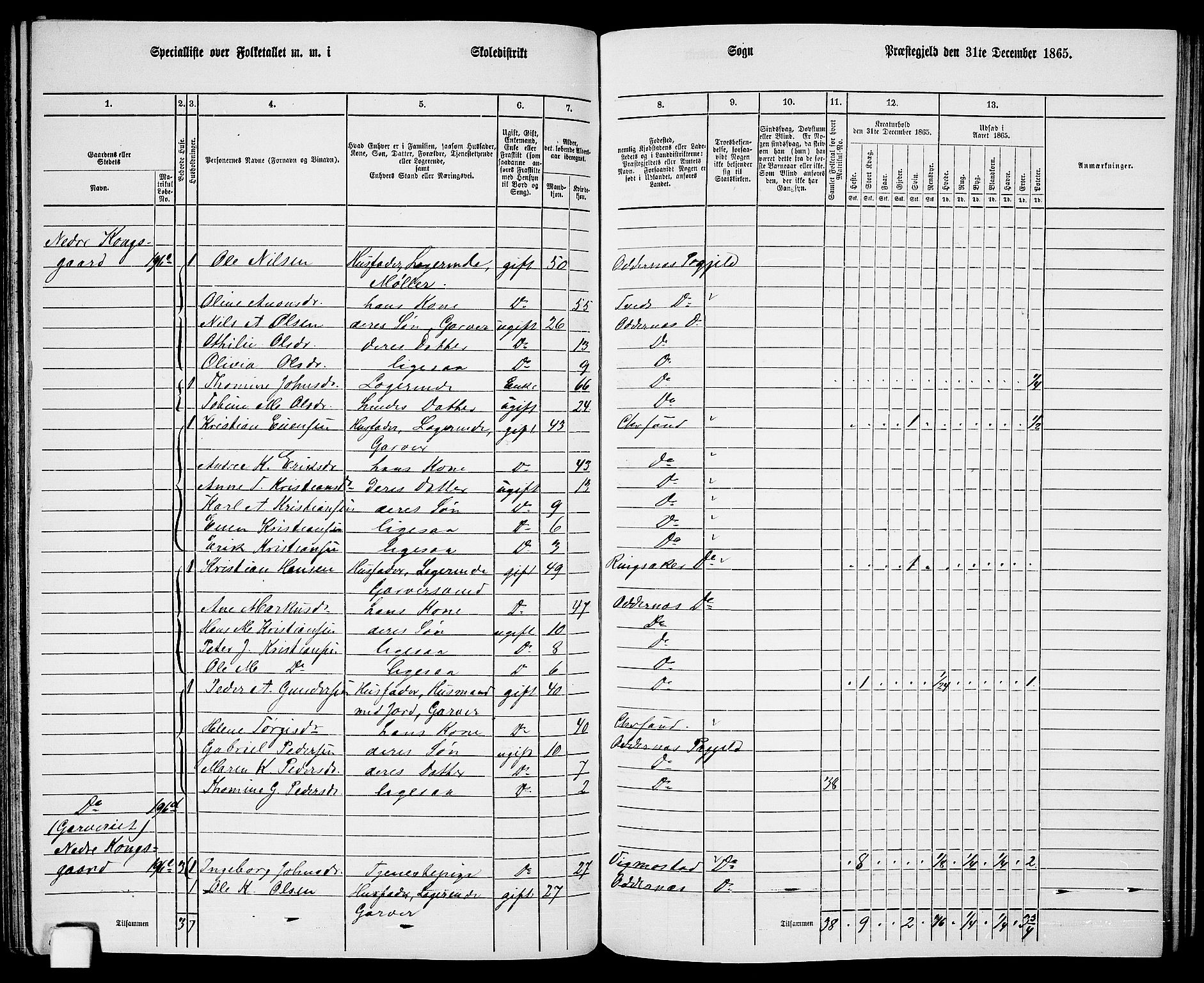 RA, 1865 census for Oddernes, 1865, p. 110