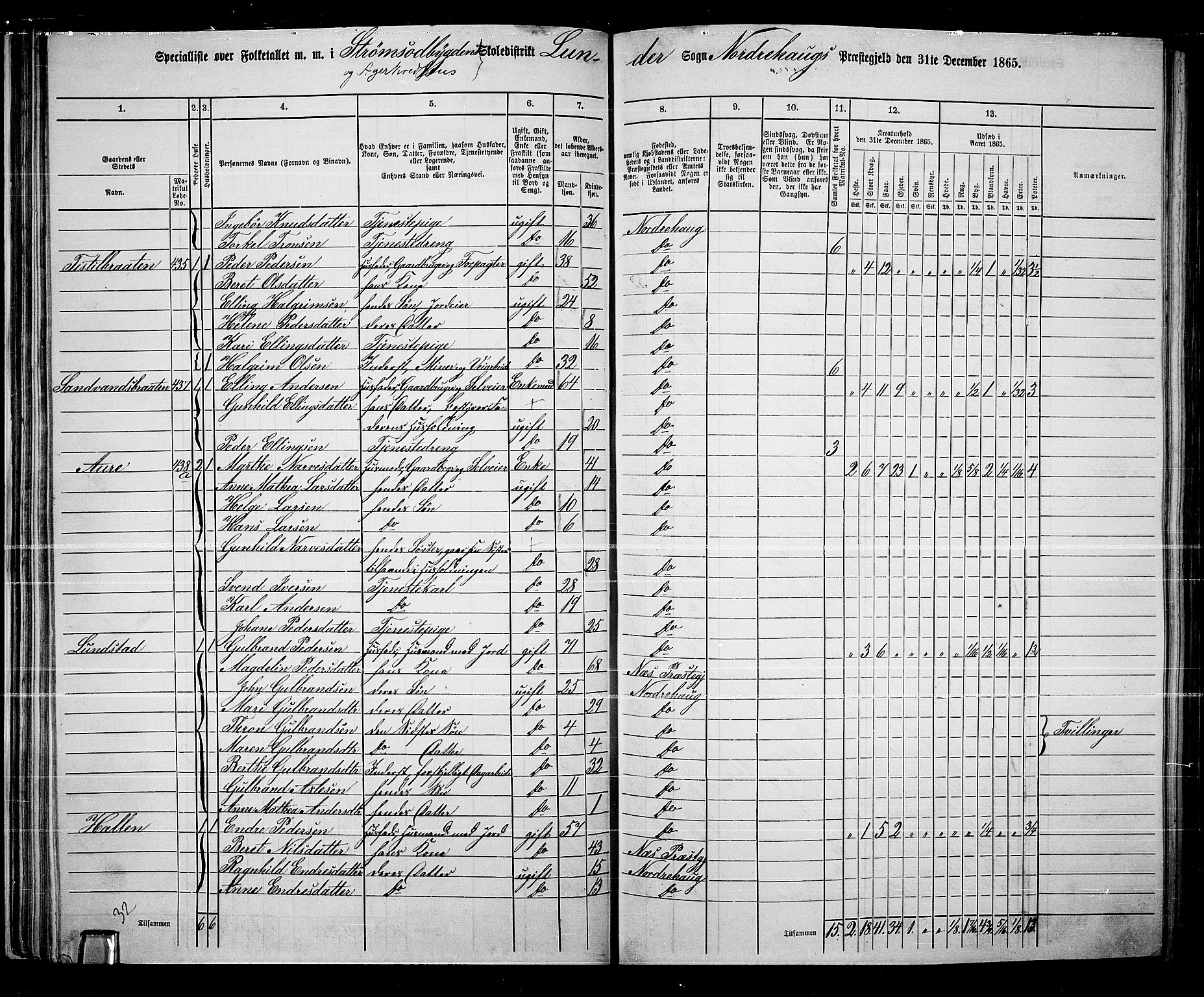 RA, 1865 census for Norderhov/Norderhov, Haug og Lunder, 1865, p. 53