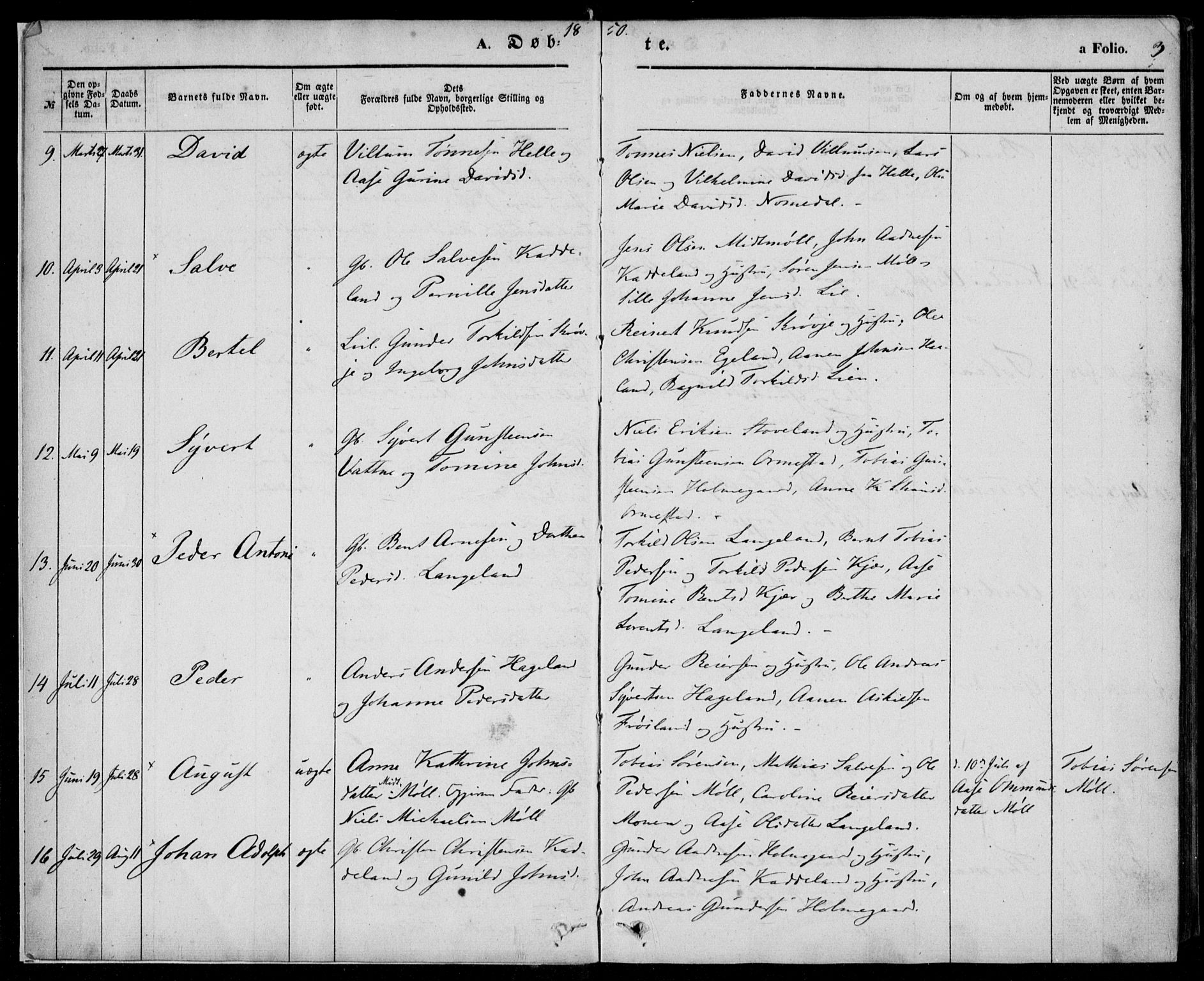 Holum sokneprestkontor, SAK/1111-0022/F/Fa/Faa/L0005: Parish register (official) no. A 5, 1850-1864, p. 3